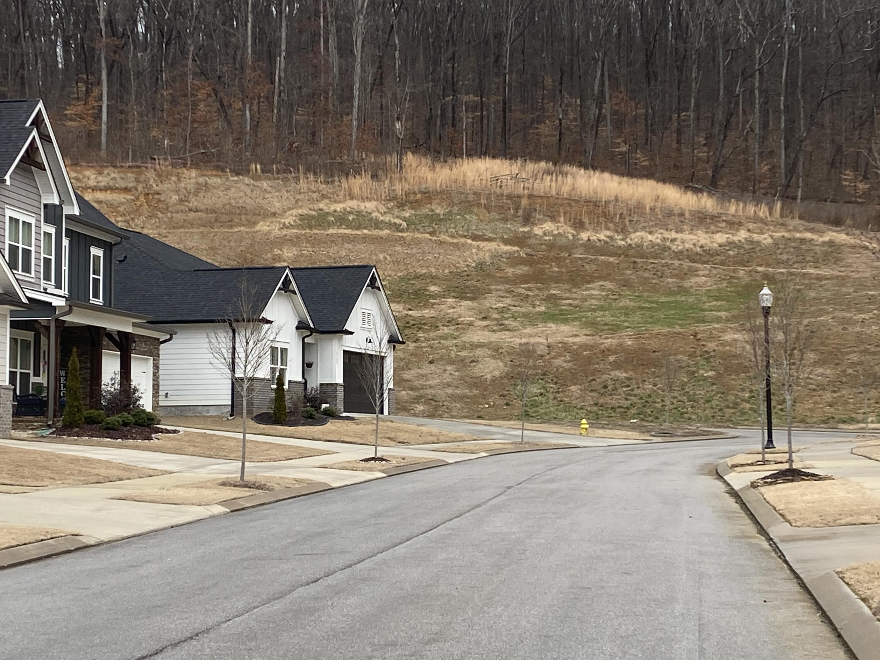 6106 Amber Forest Trail