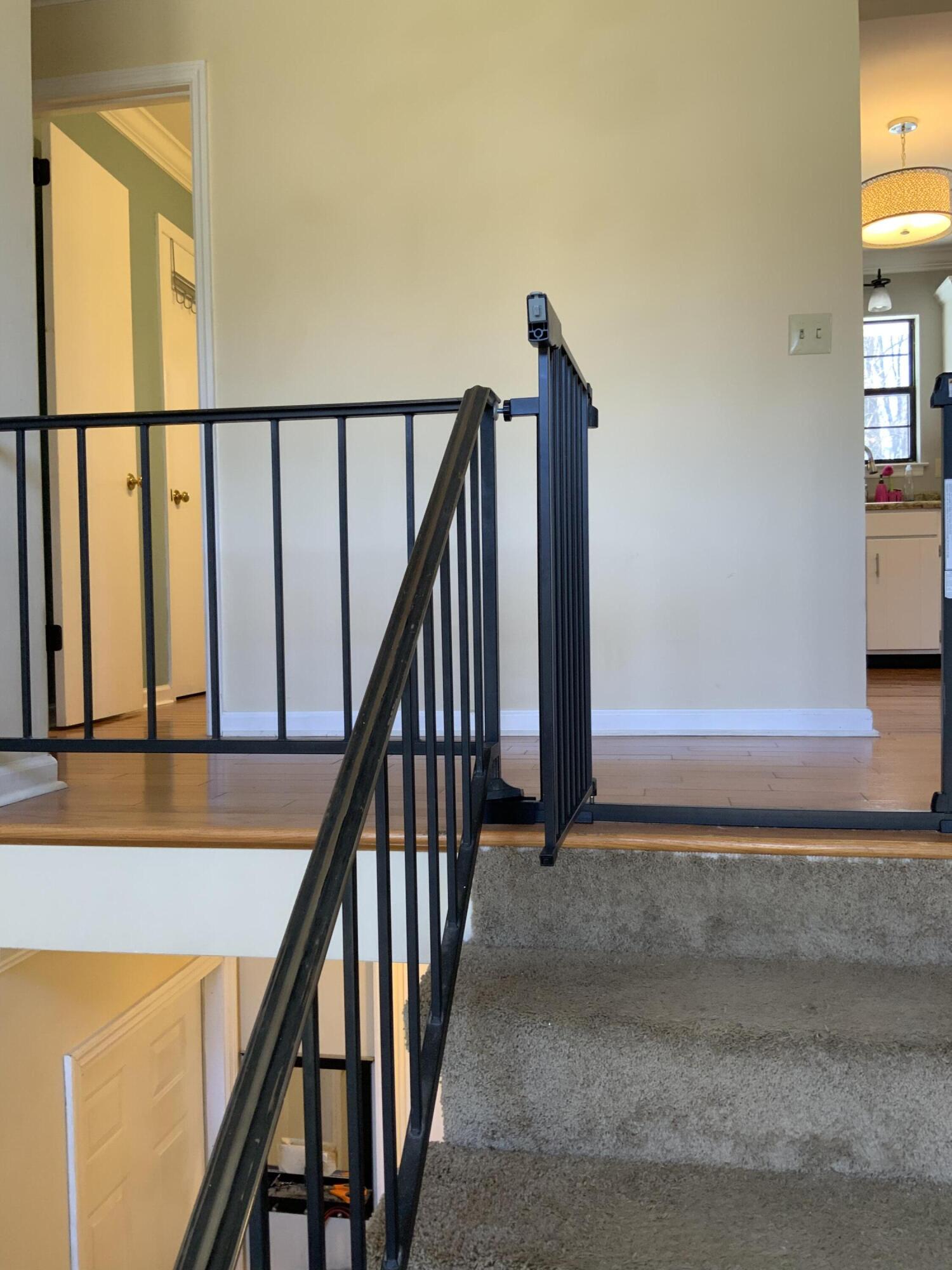 8224 Blue Spruce Drive