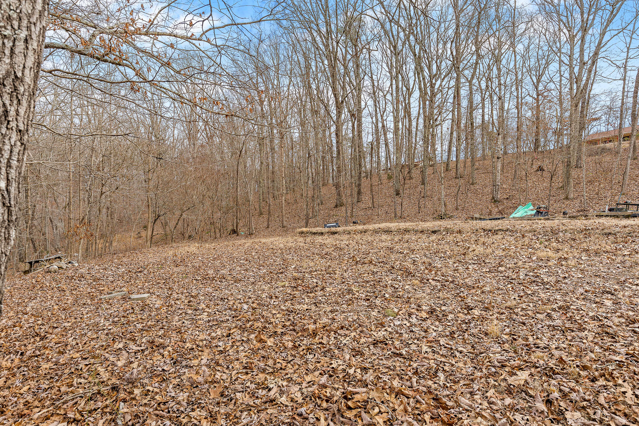 9408 Dallas Hollow Road