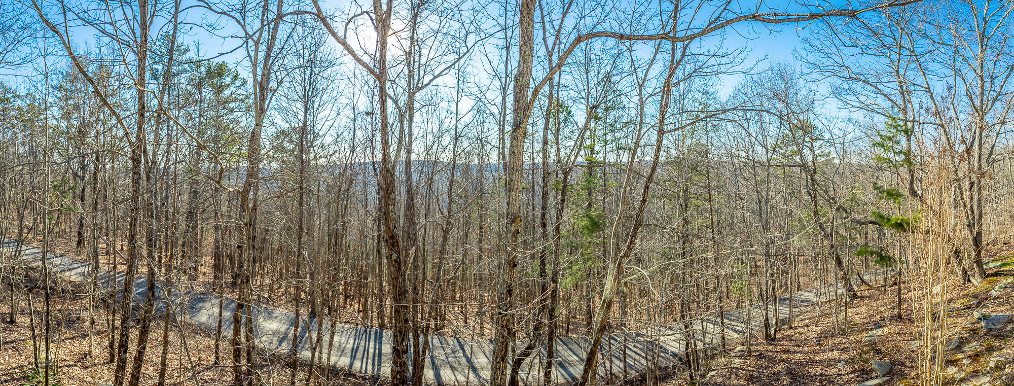 780 Miller Cove Road