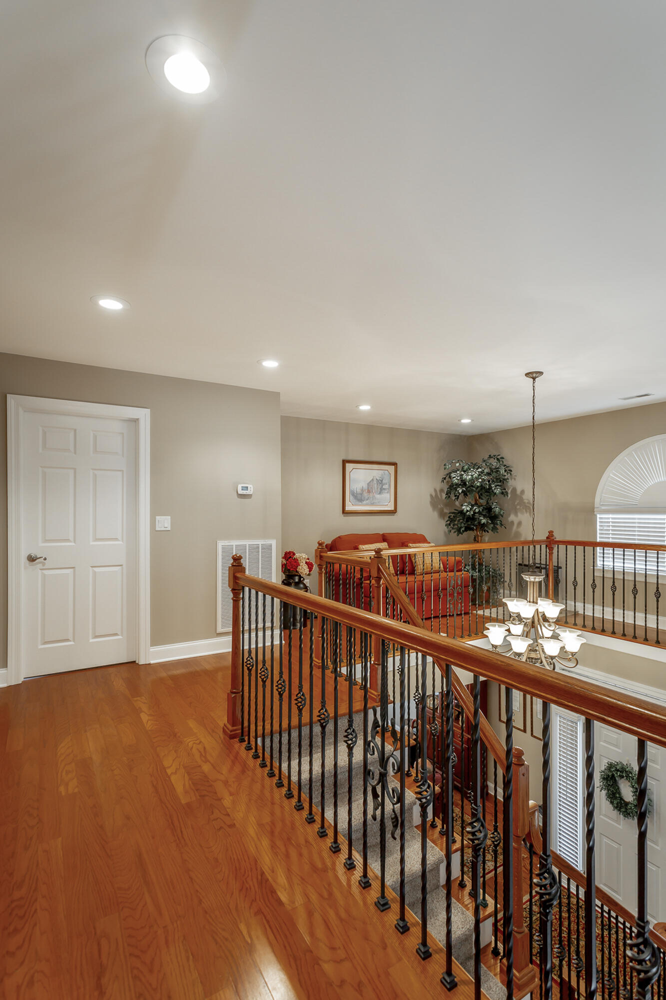 2409 Cone Flower Trail