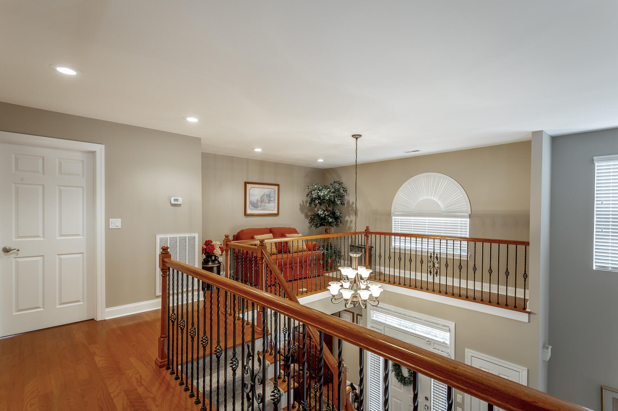 2409 Cone Flower Trail