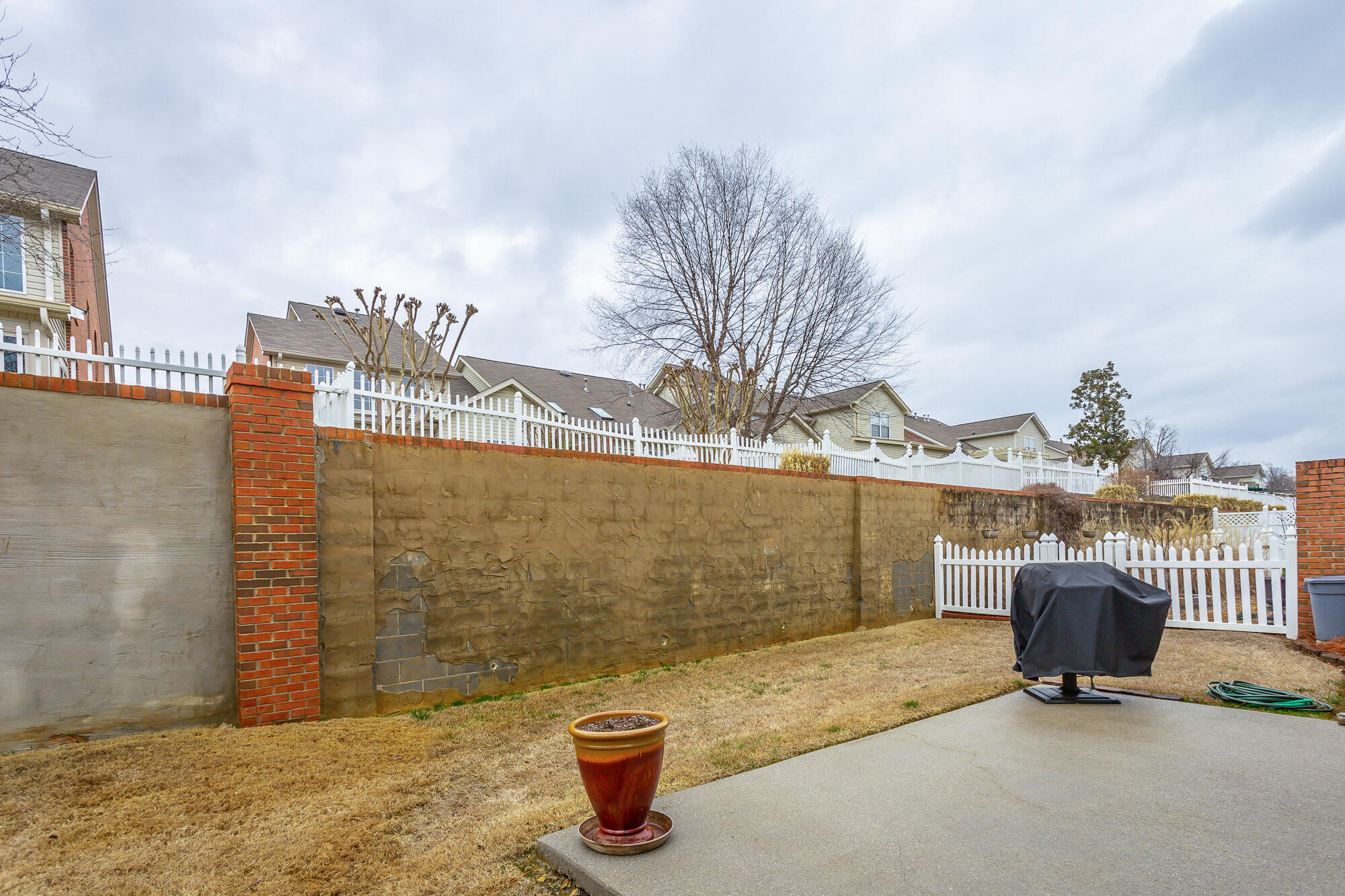 2409 Cone Flower Trail
