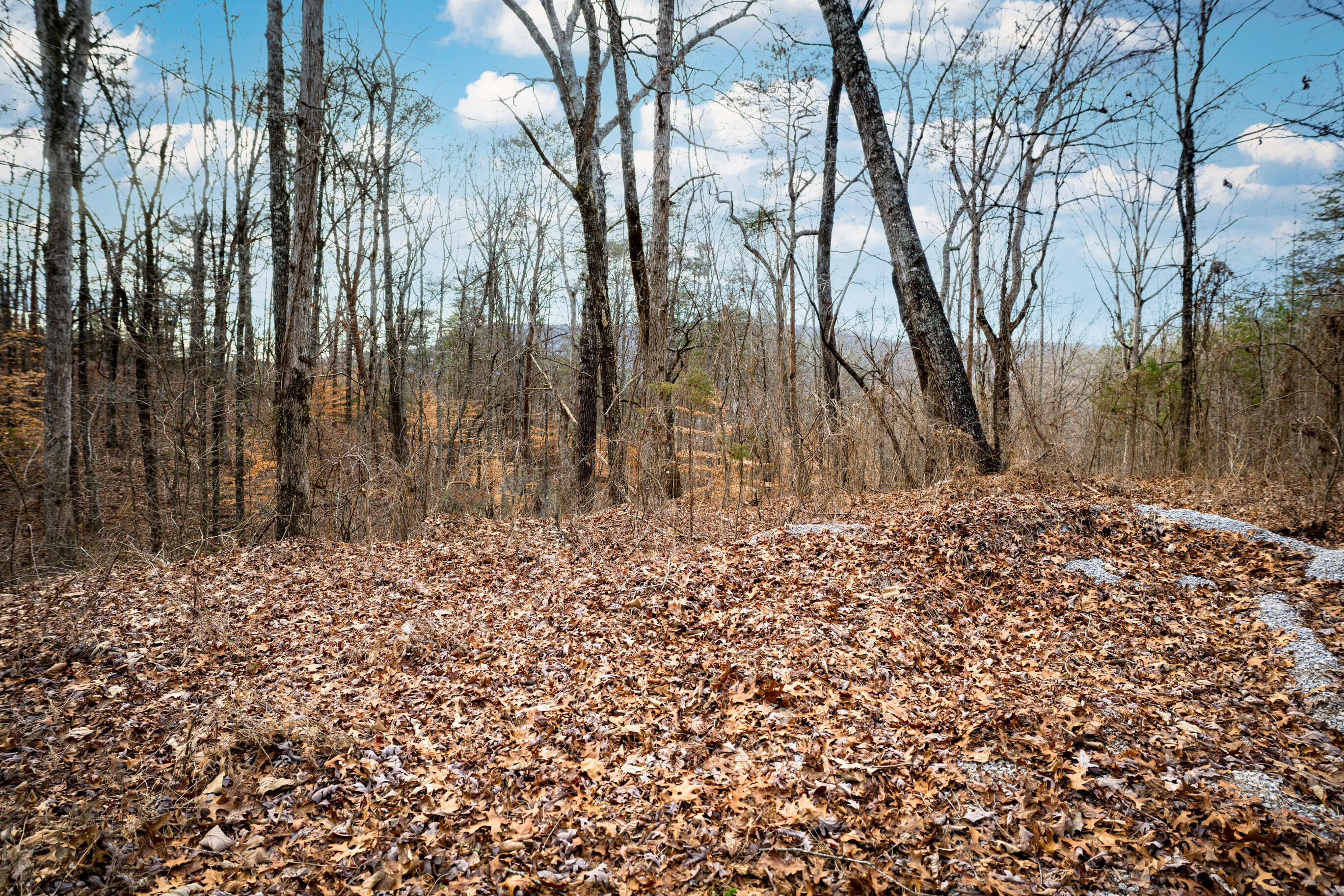 304 Gilley Lane, Tract 1