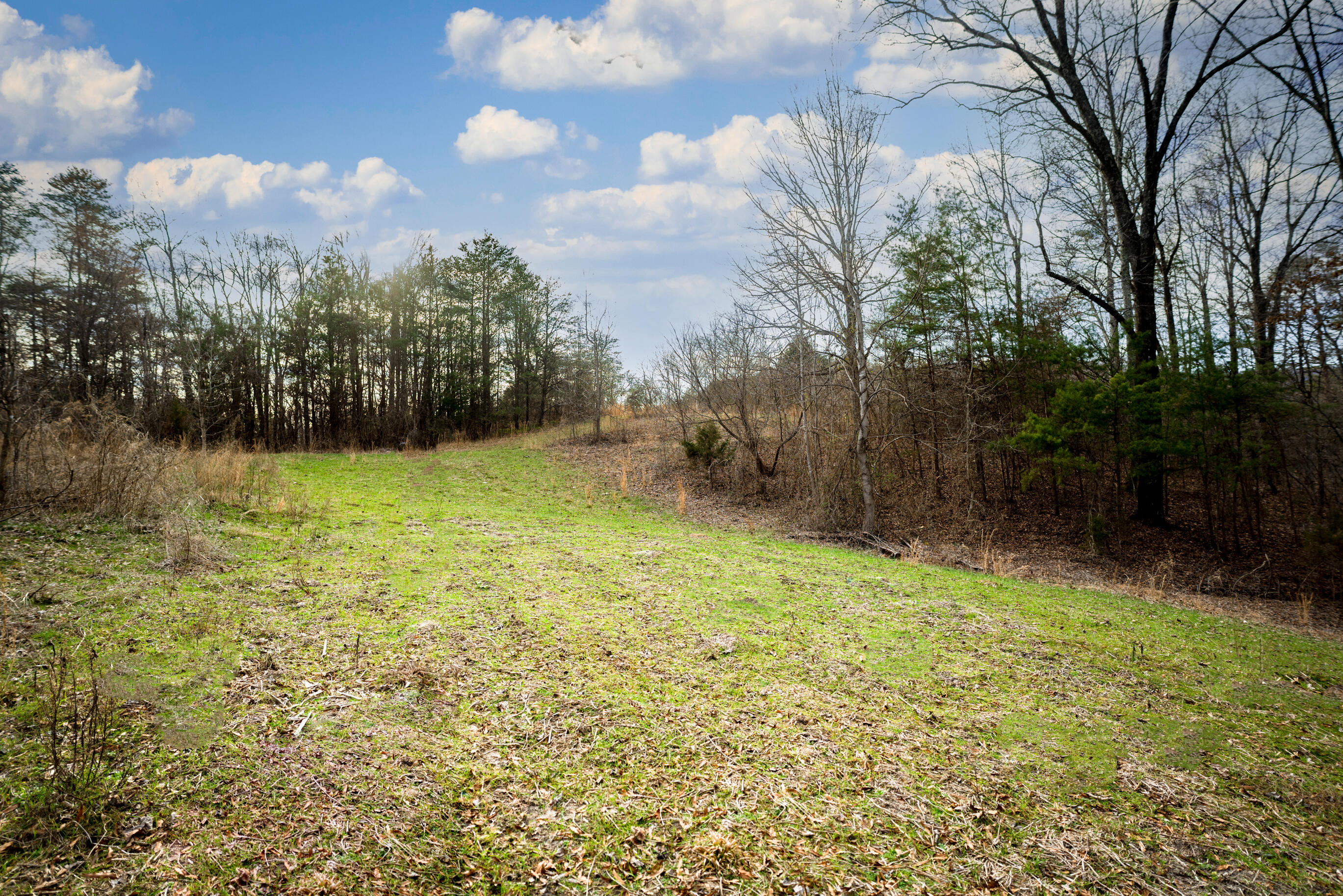 304 Gilley Lane, Tract 1