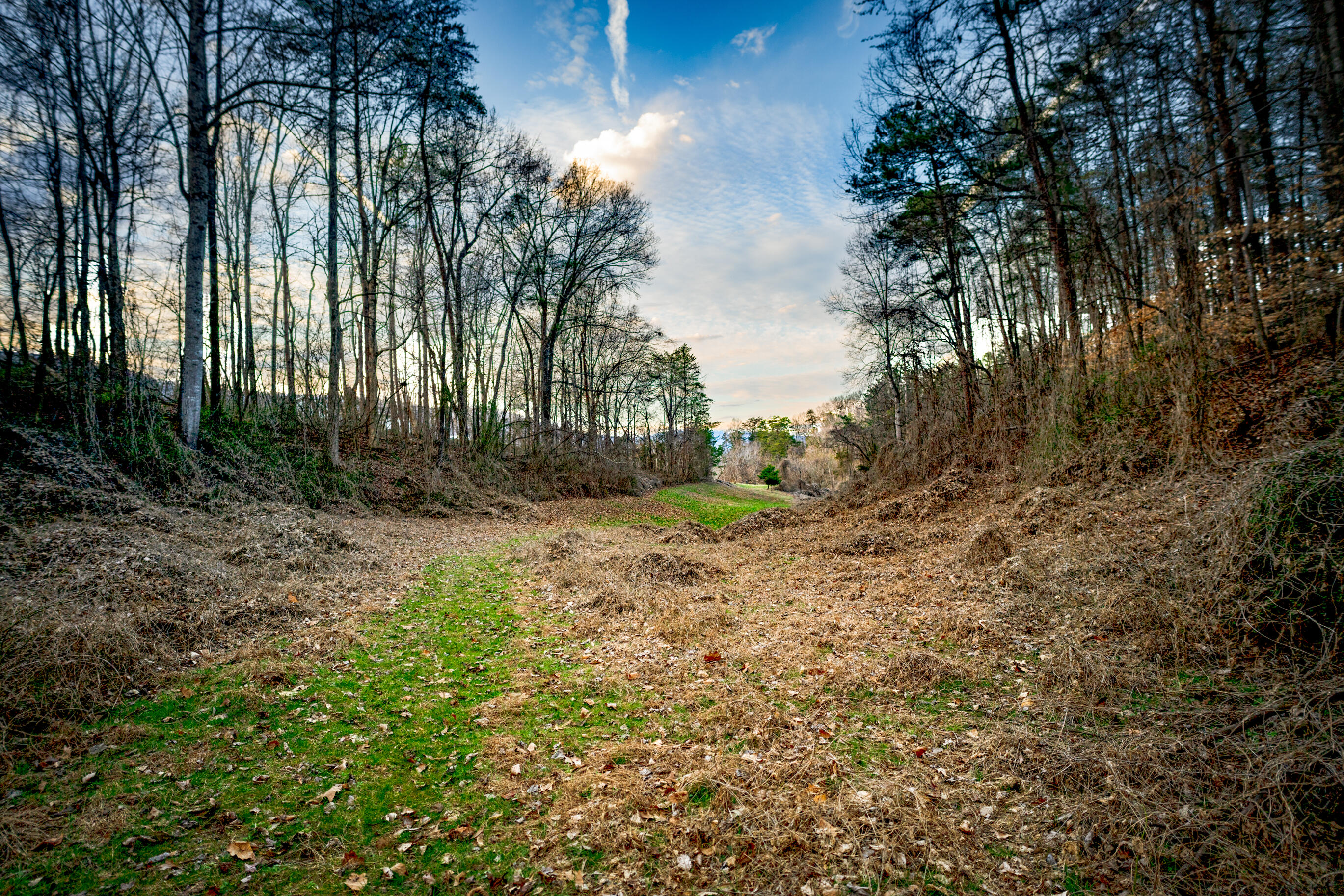304 Gilley Lane, Tract 1