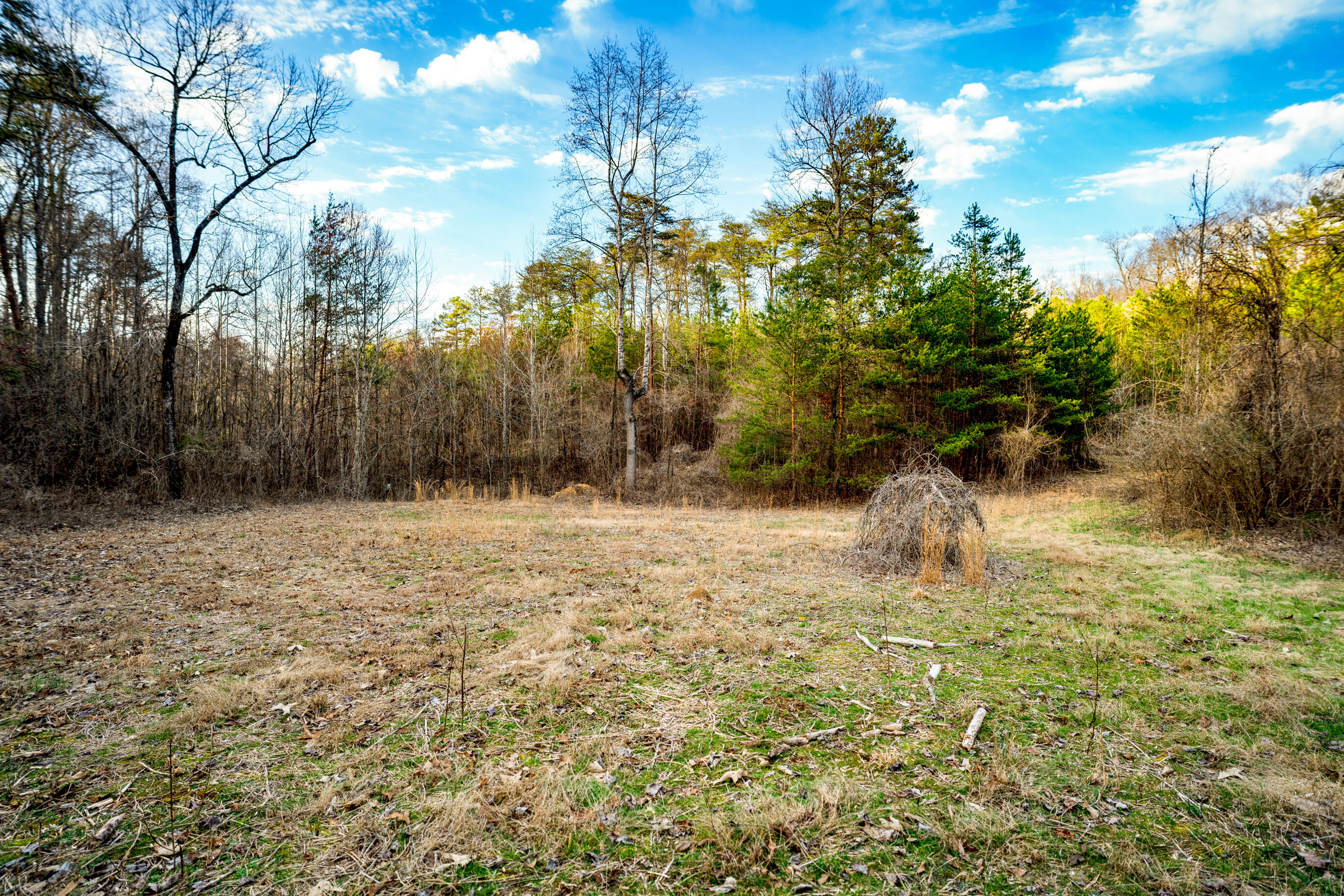 304 Gilley Lane, Tract 1