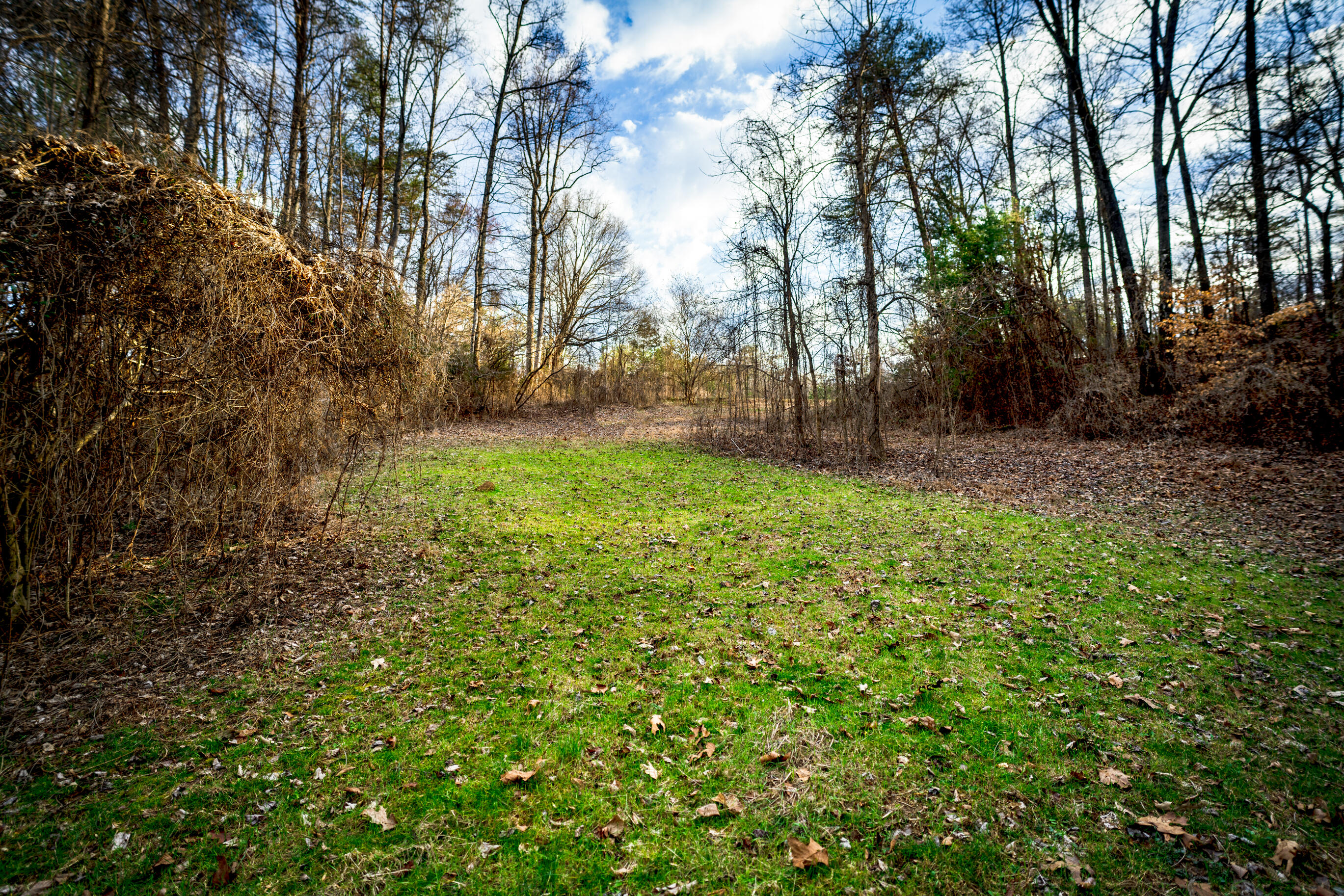304 Gilley Lane, Tract 1