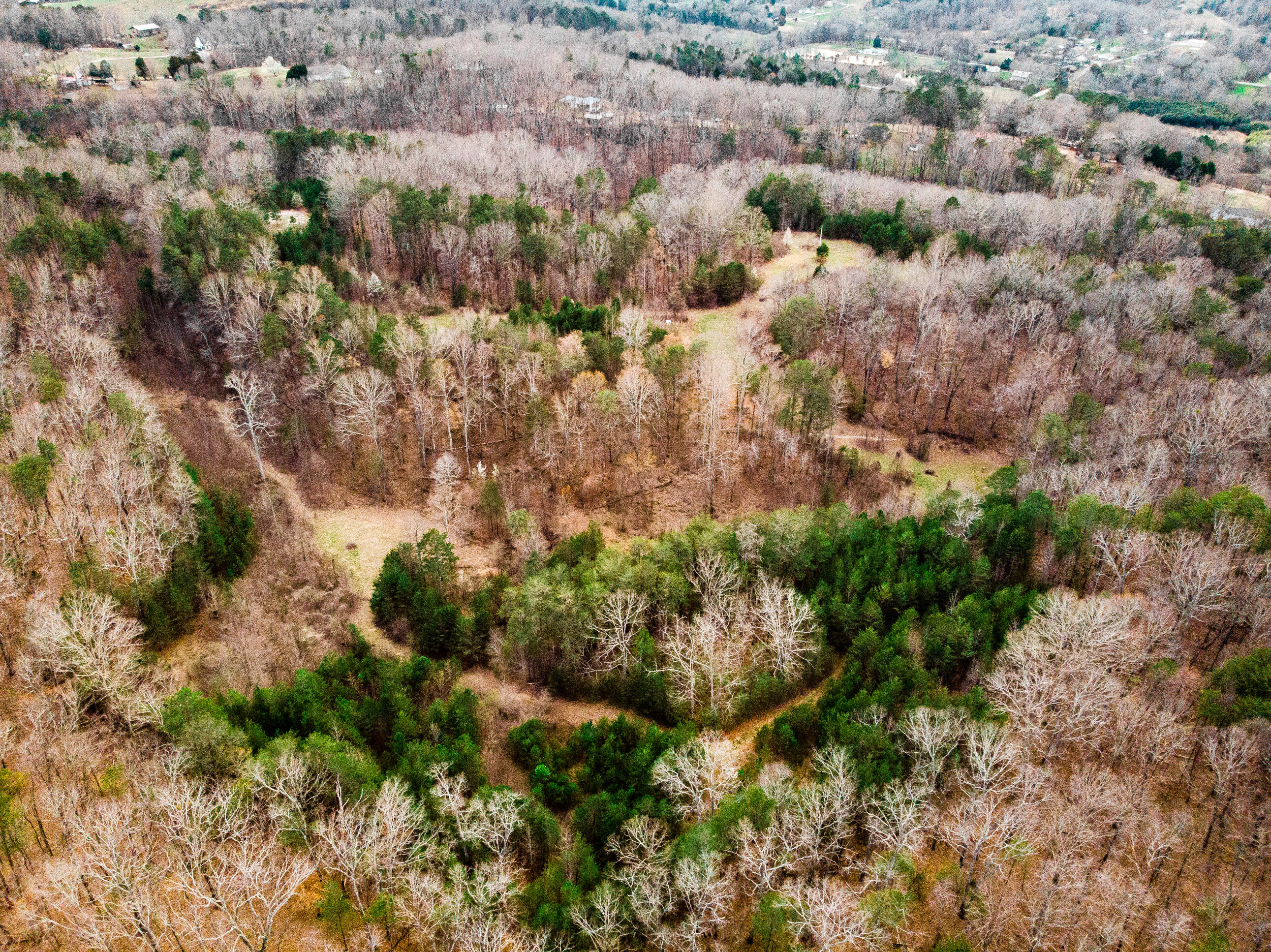 304 Gilley Lane, Tract 1
