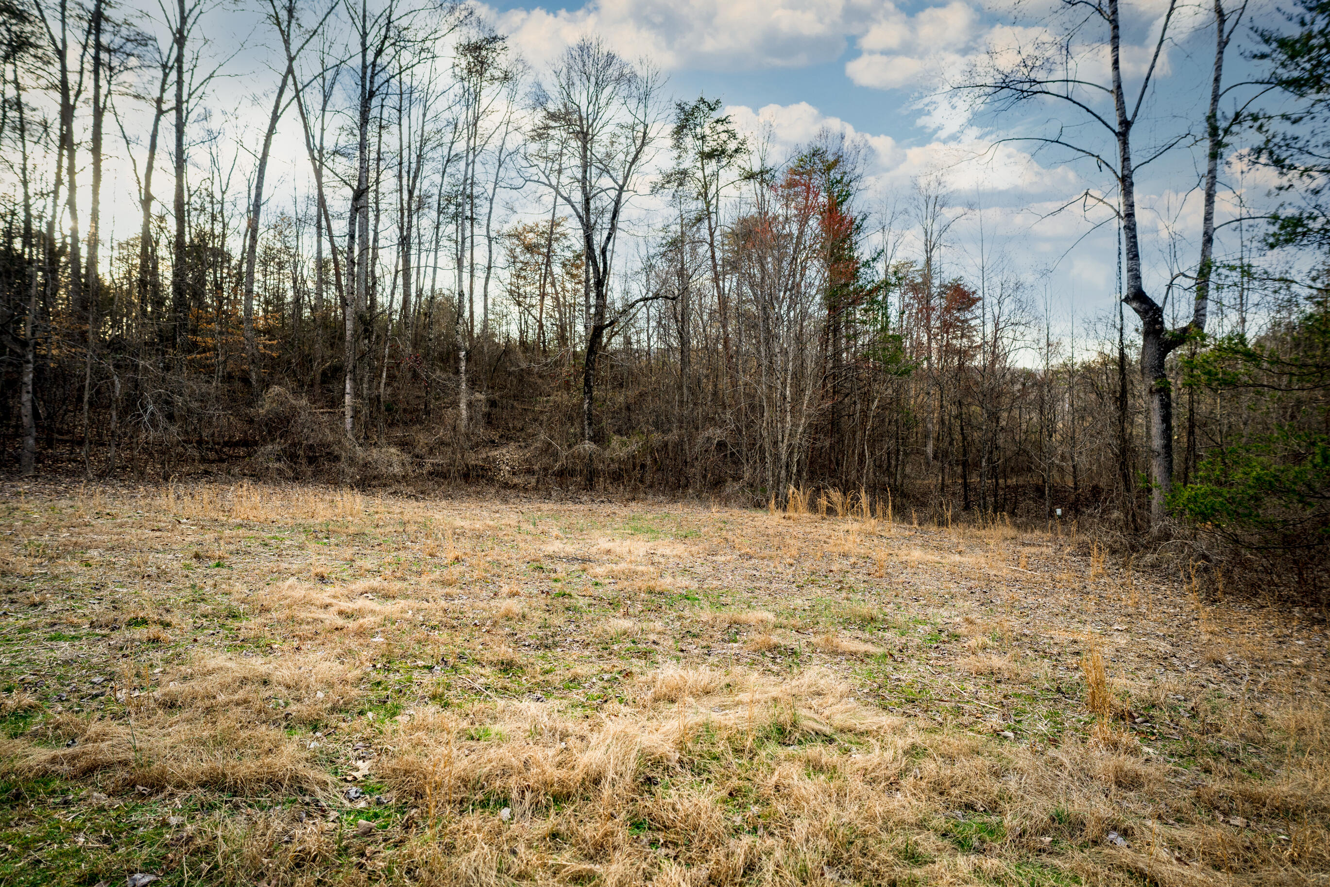 304 Gilley Lane, Tract 1