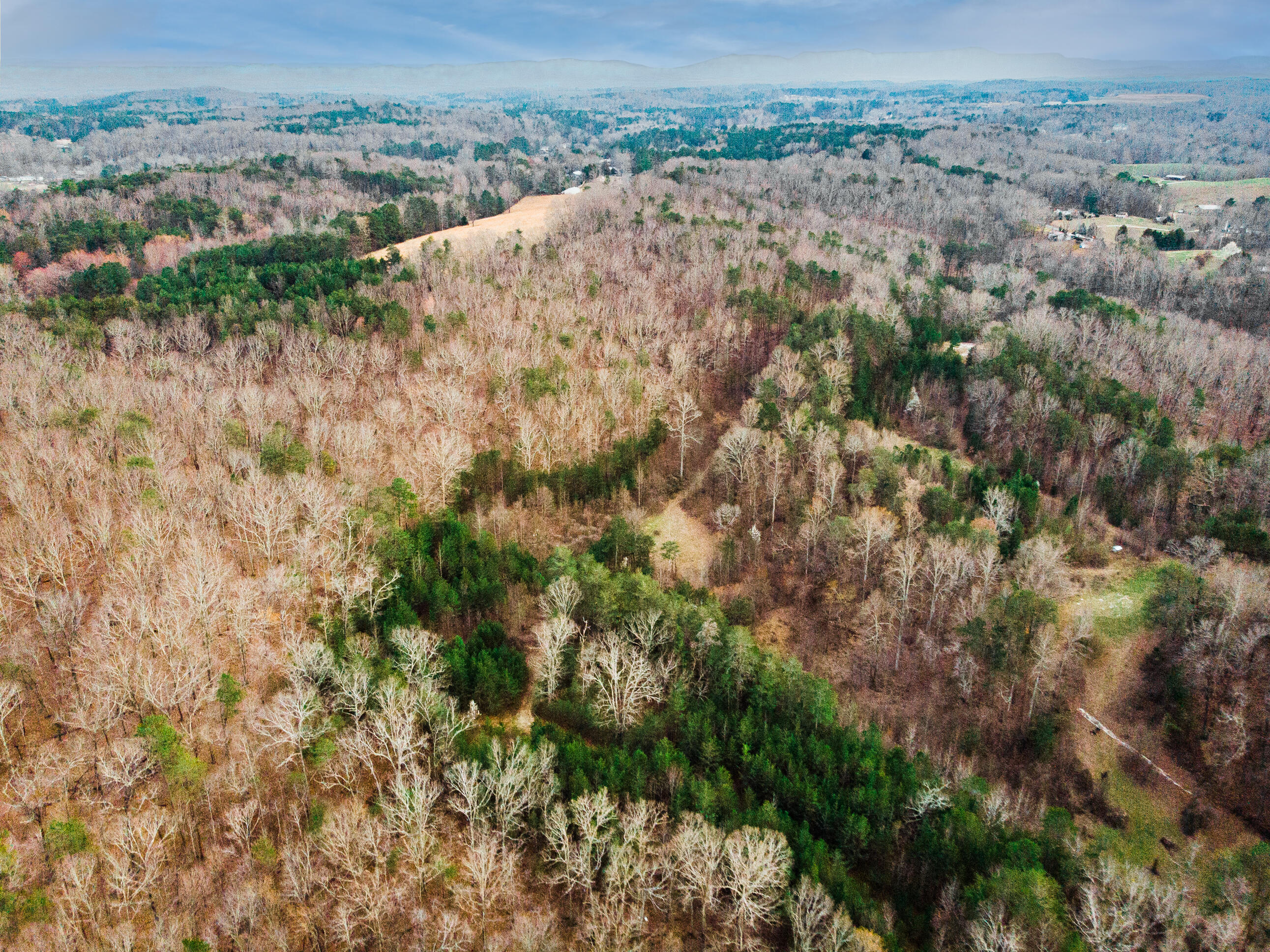 304 Gilley Lane, Tract 1
