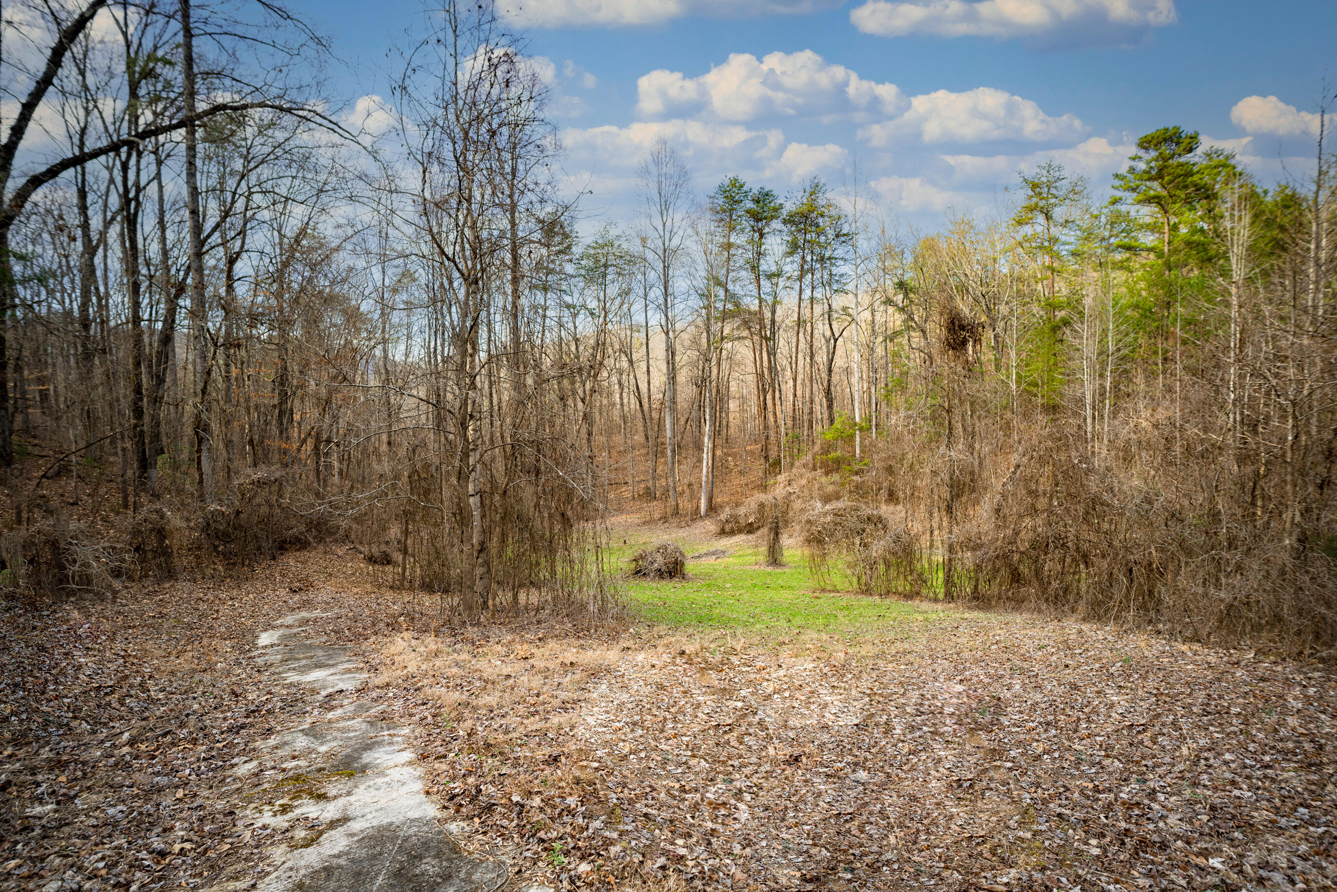 304 Gilley Lane, Tract 1