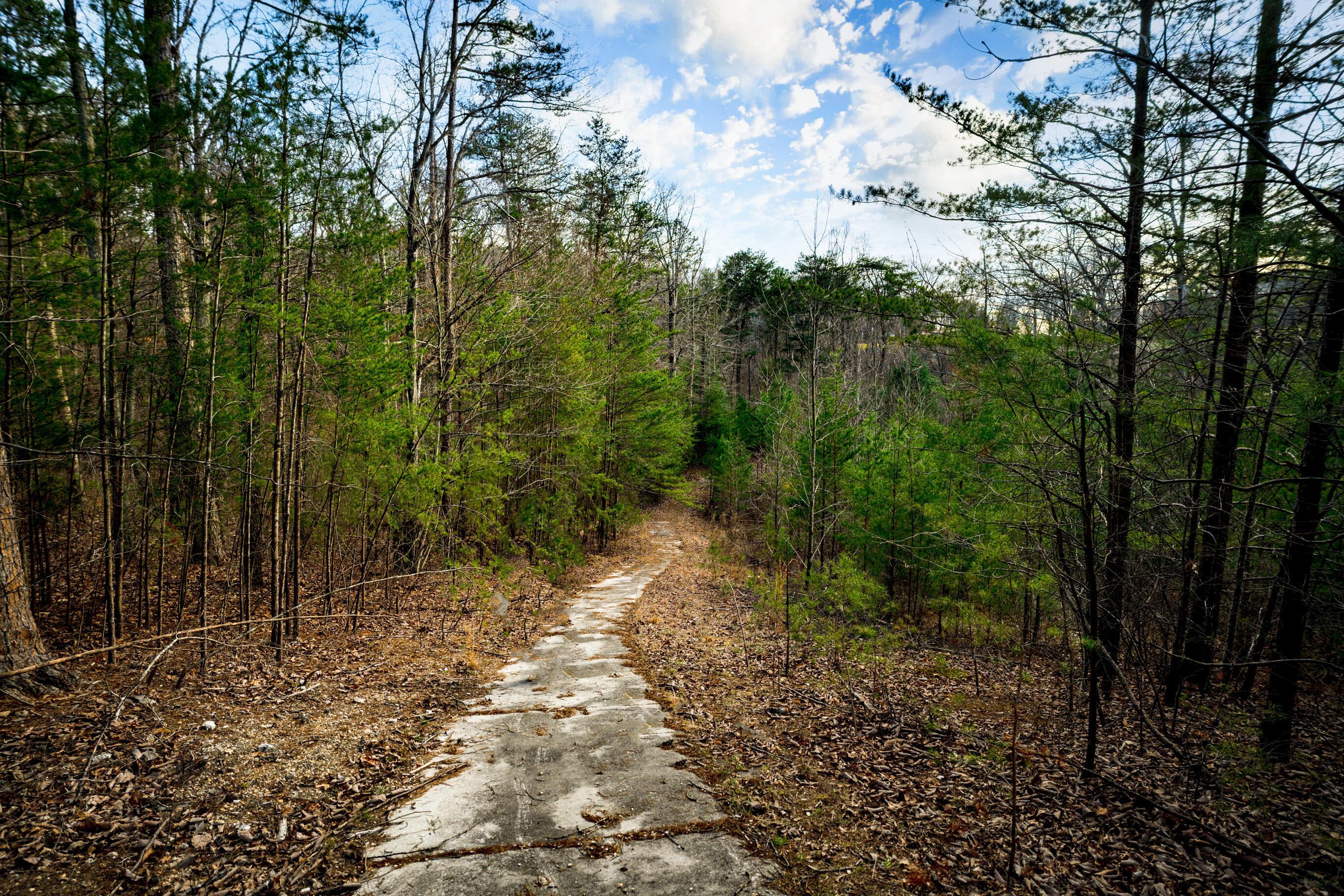 304 Gilley Lane, Tract 1