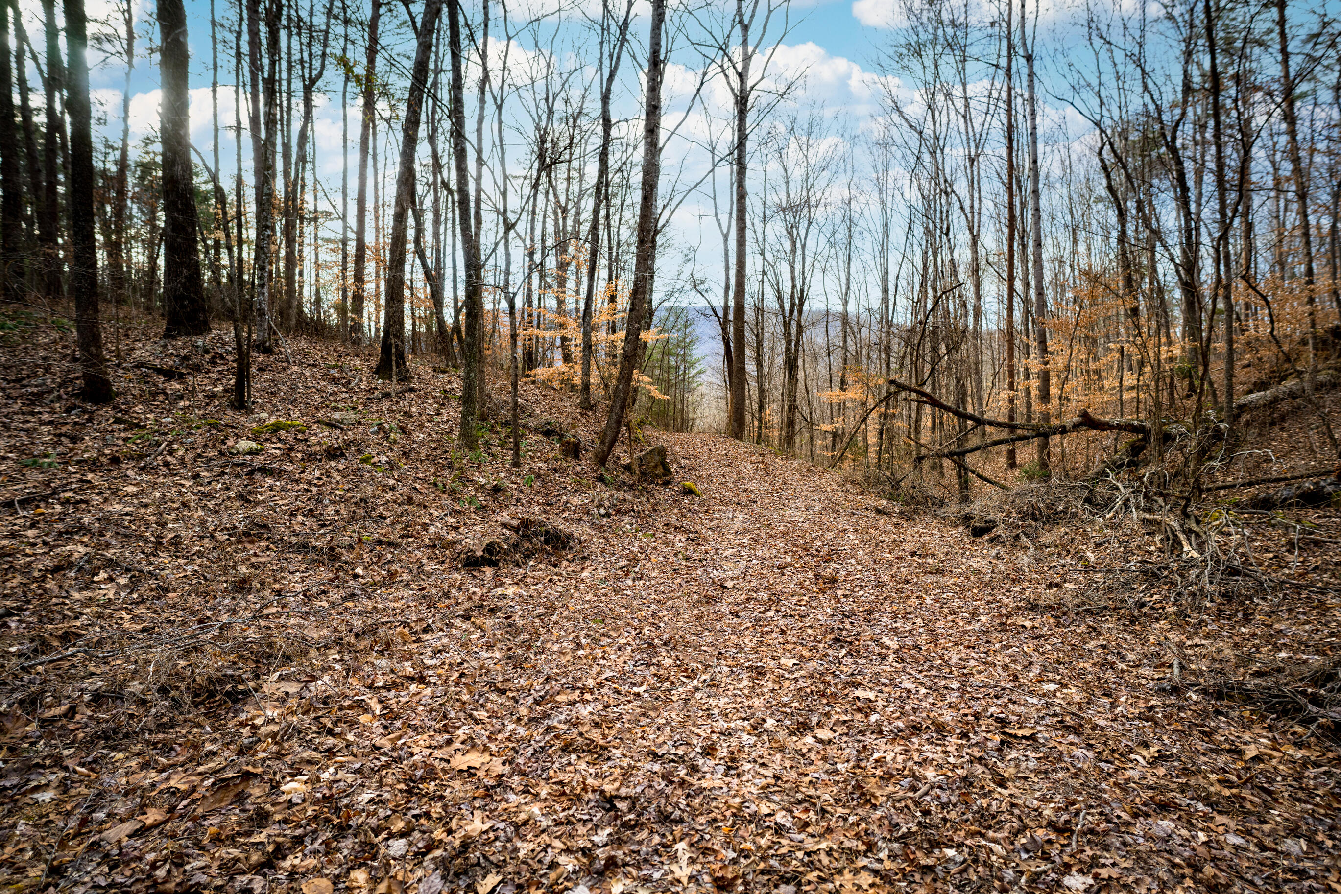 304 Gilley Lane, Tract 1