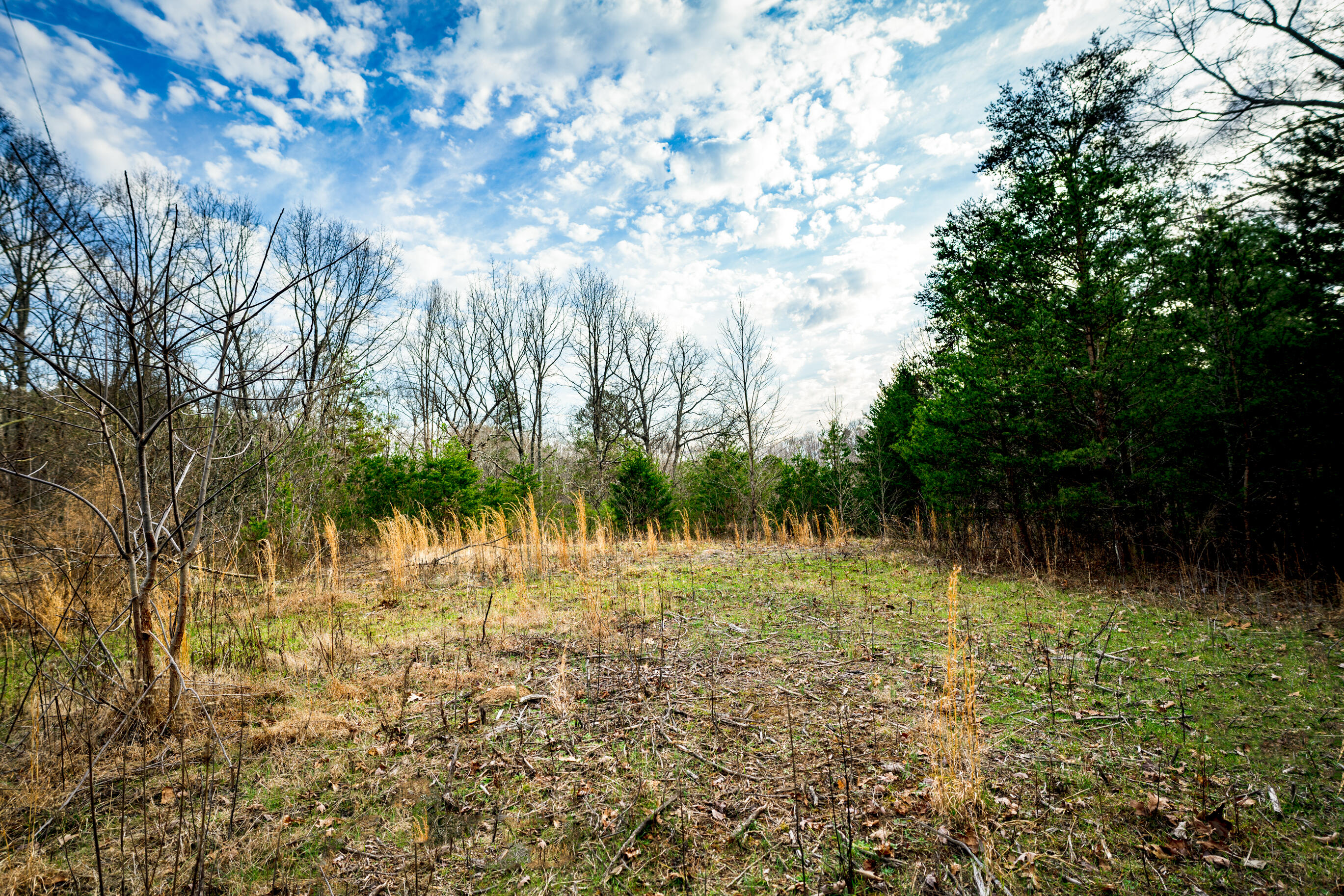 304 Gilley Lane, Tract 1