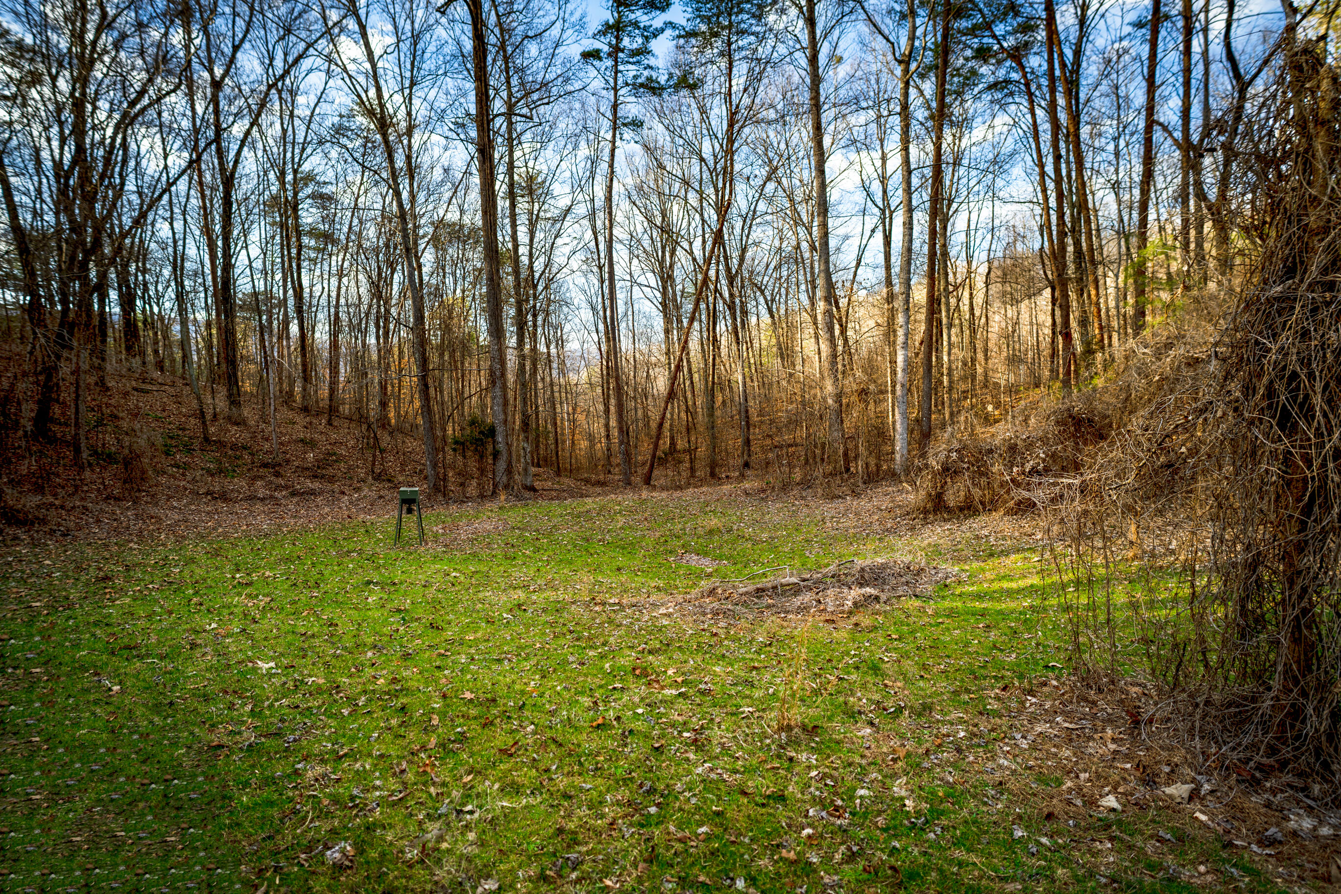 304 Gilley Lane, Tract 1
