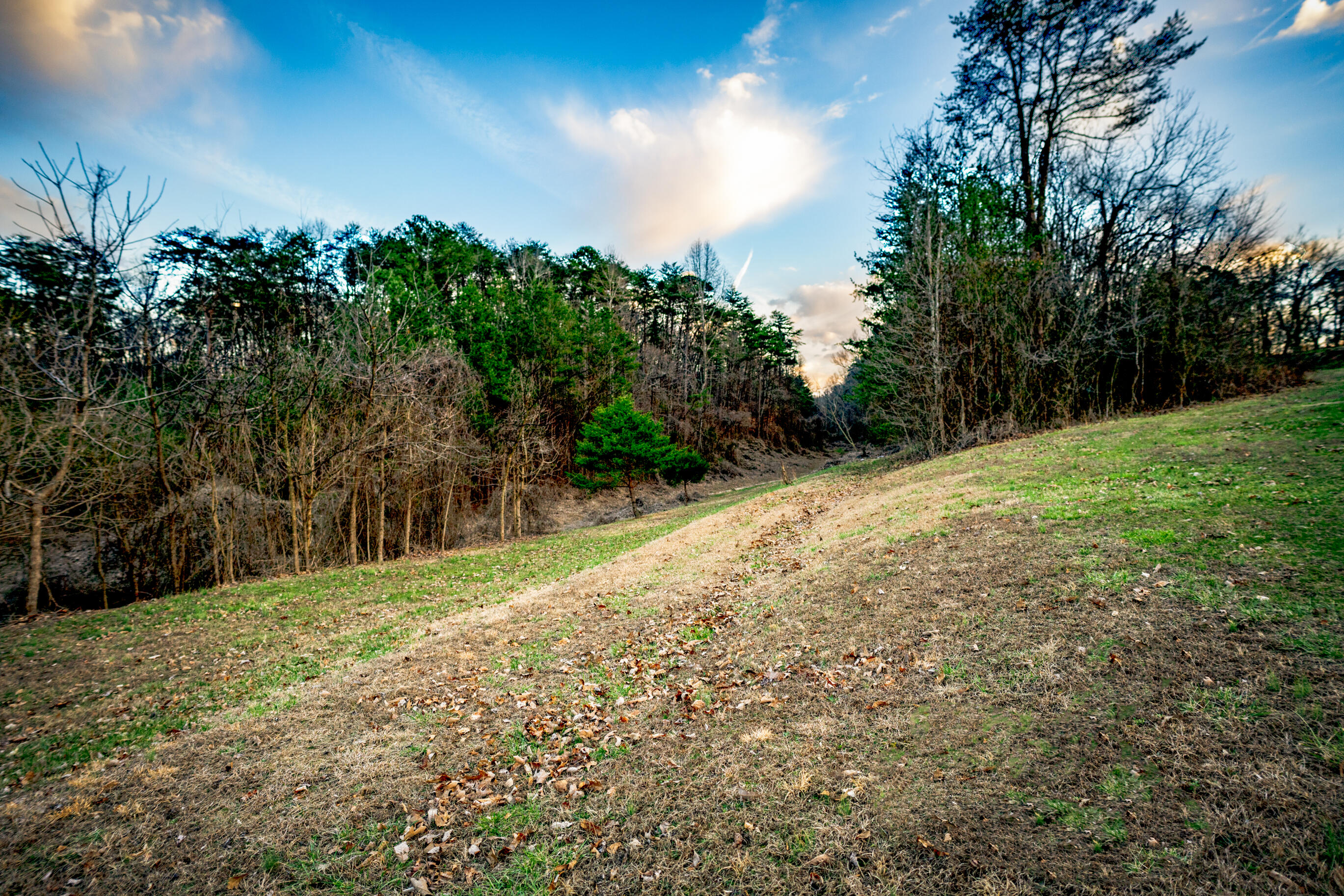 304 Gilley Lane, Tract 1