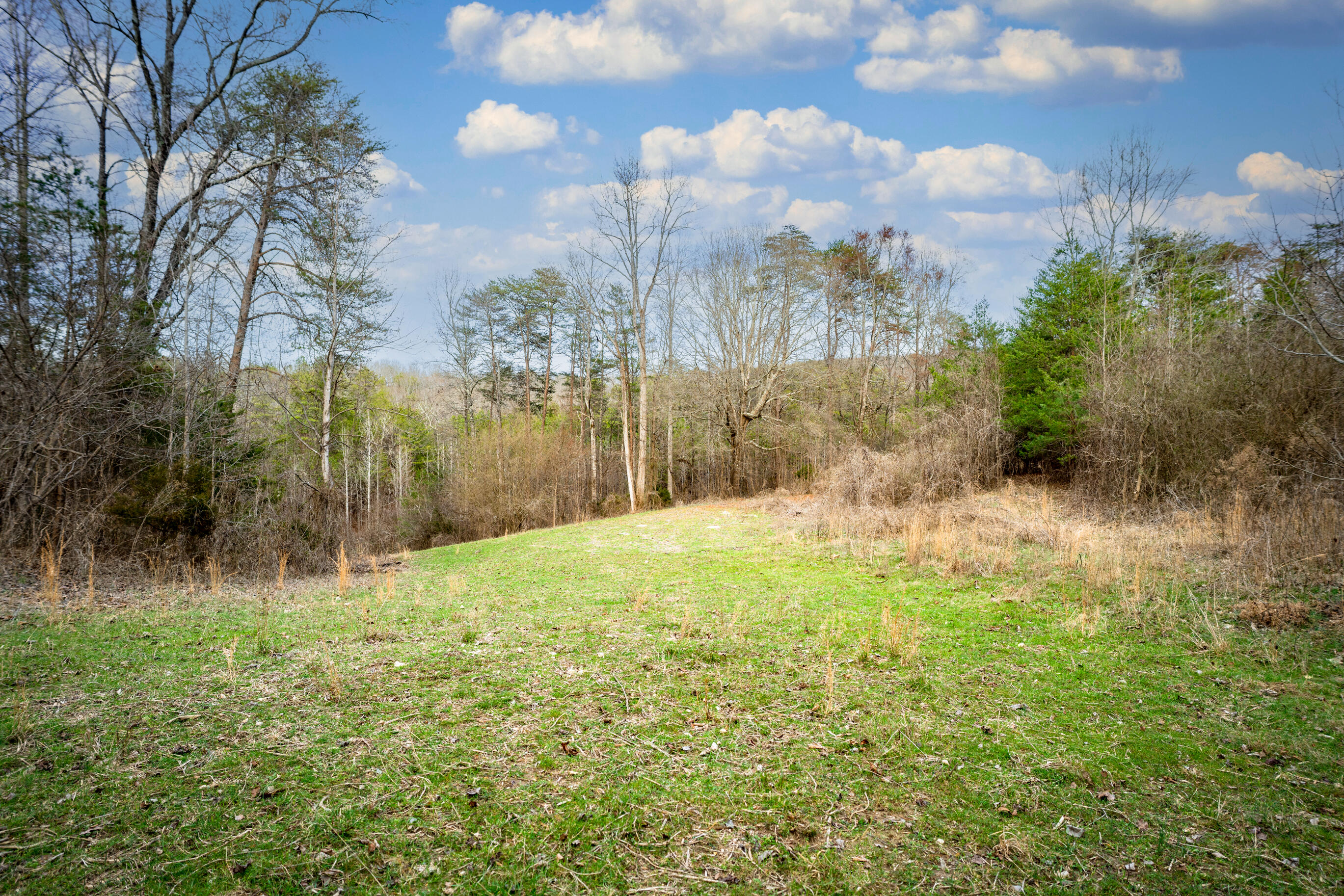 304 Gilley Lane, Tract 1