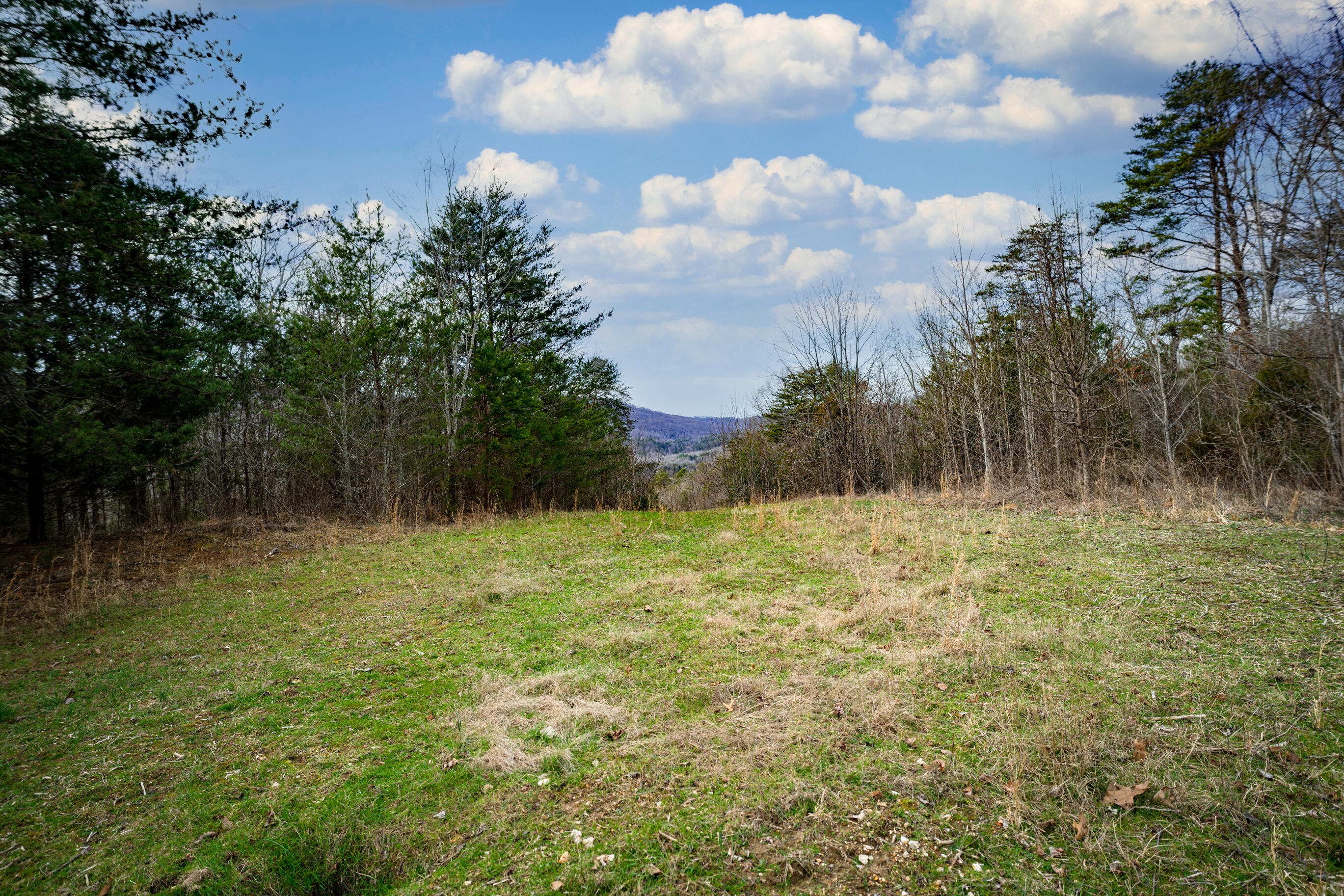 304 Gilley Lane, Tract 1
