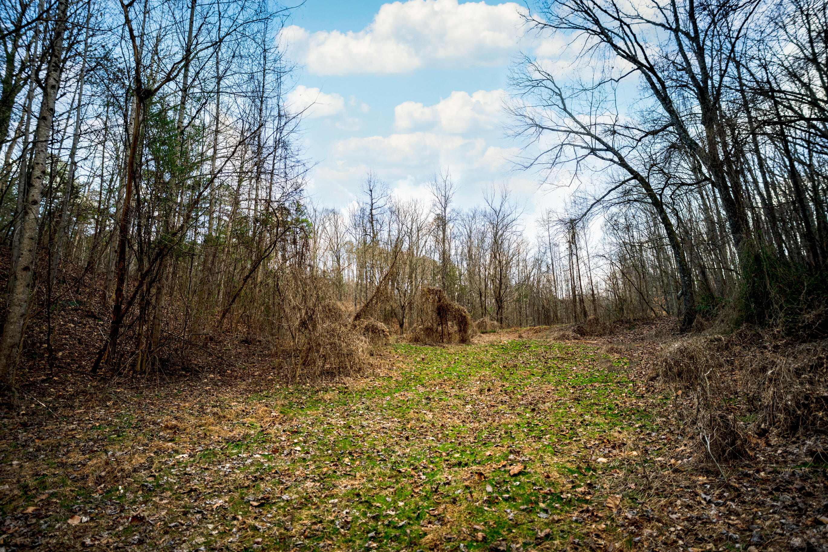 304 Gilley Lane, Tract 1