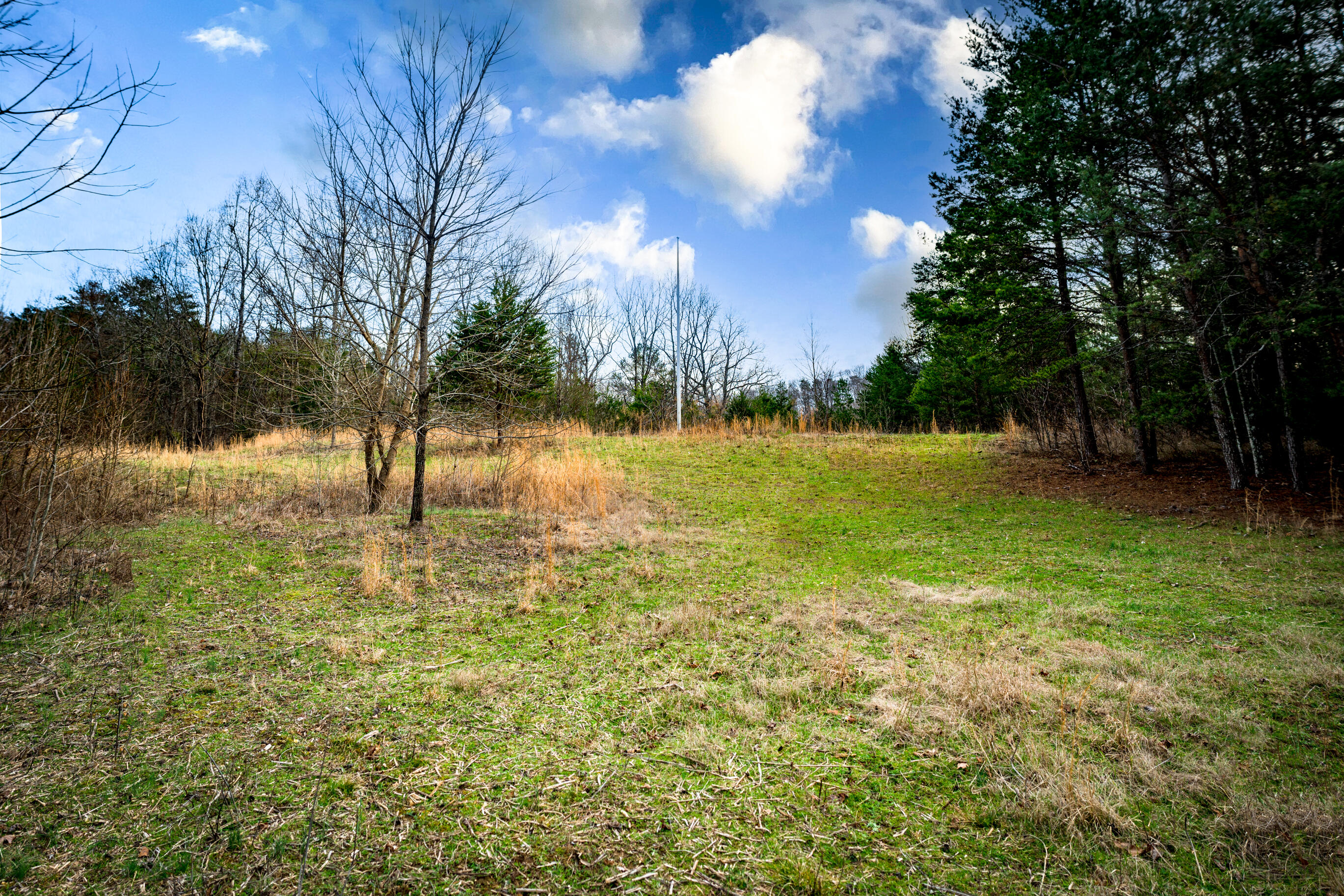 304 Gilley Lane, Tract 1