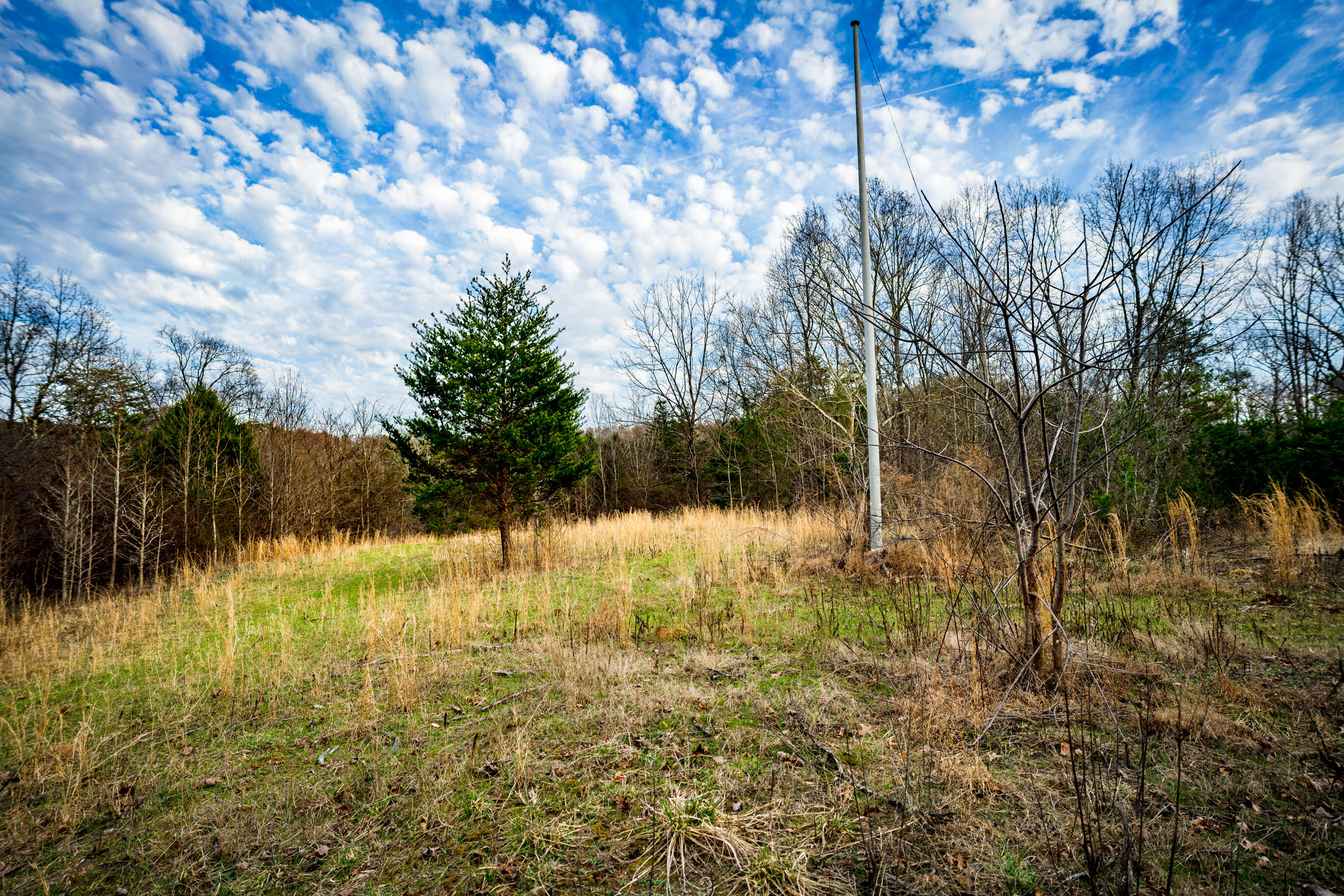 304 Gilley Lane, Tract 1