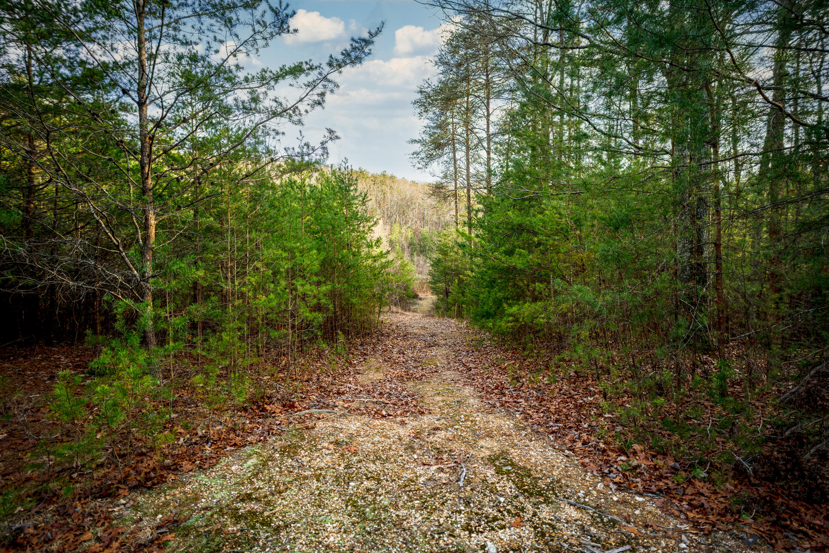 304 Gilley Lane, Tract 1