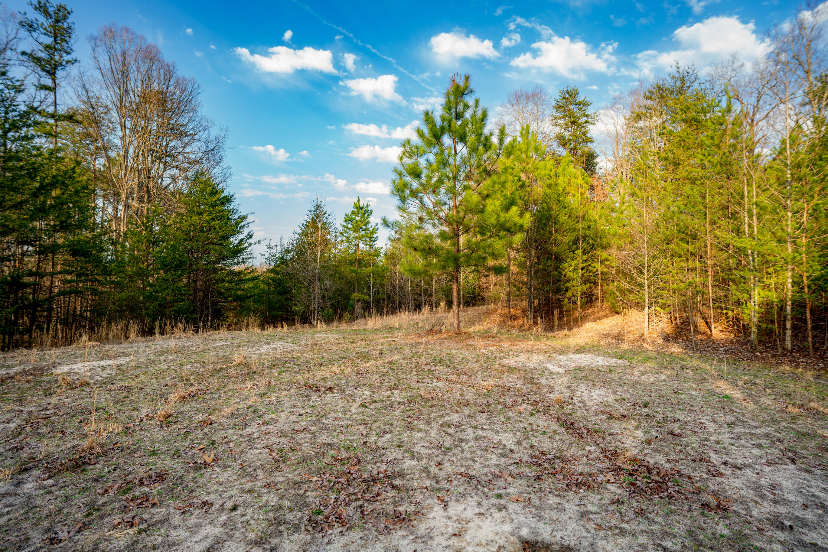 304 Gilley Lane, Tract 1