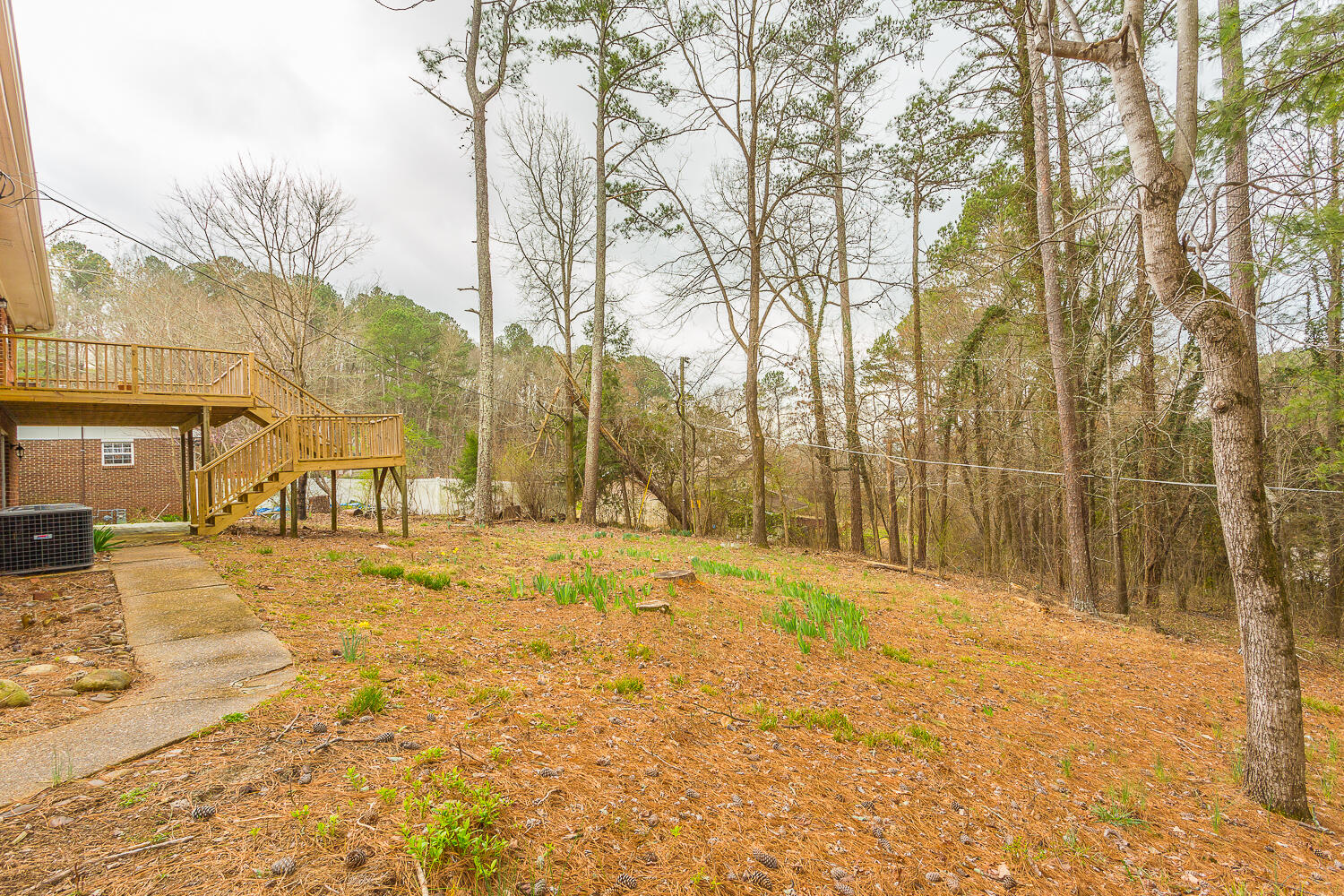 1147 Hurricane Creek Road