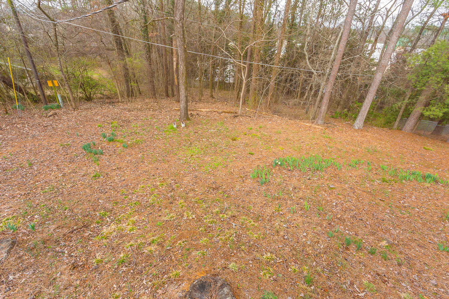 1147 Hurricane Creek Road