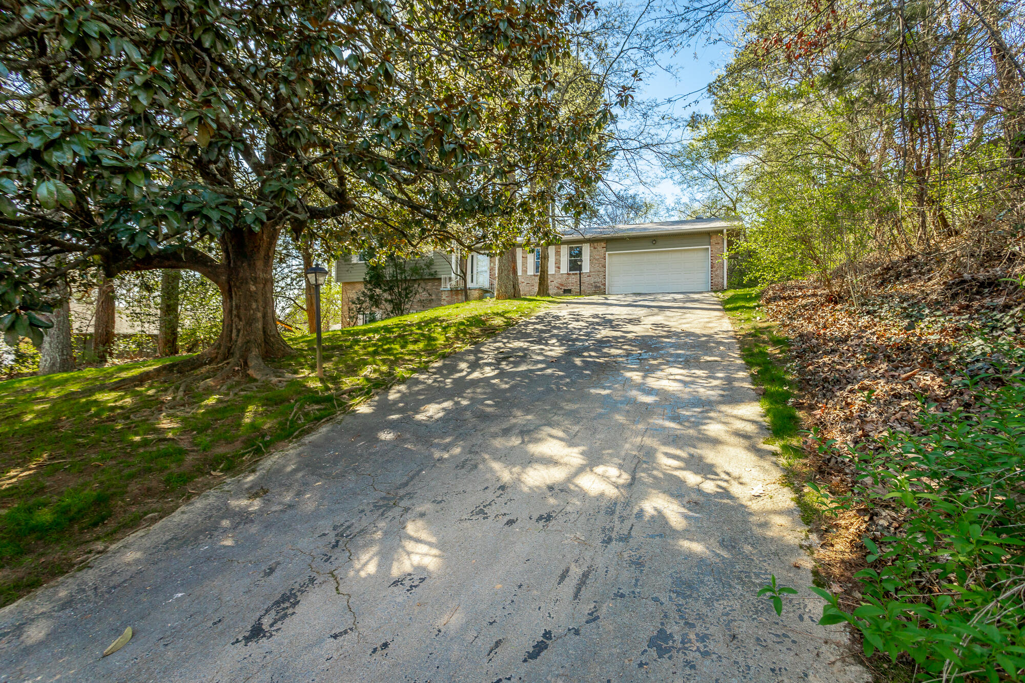 1704 Verona Drive