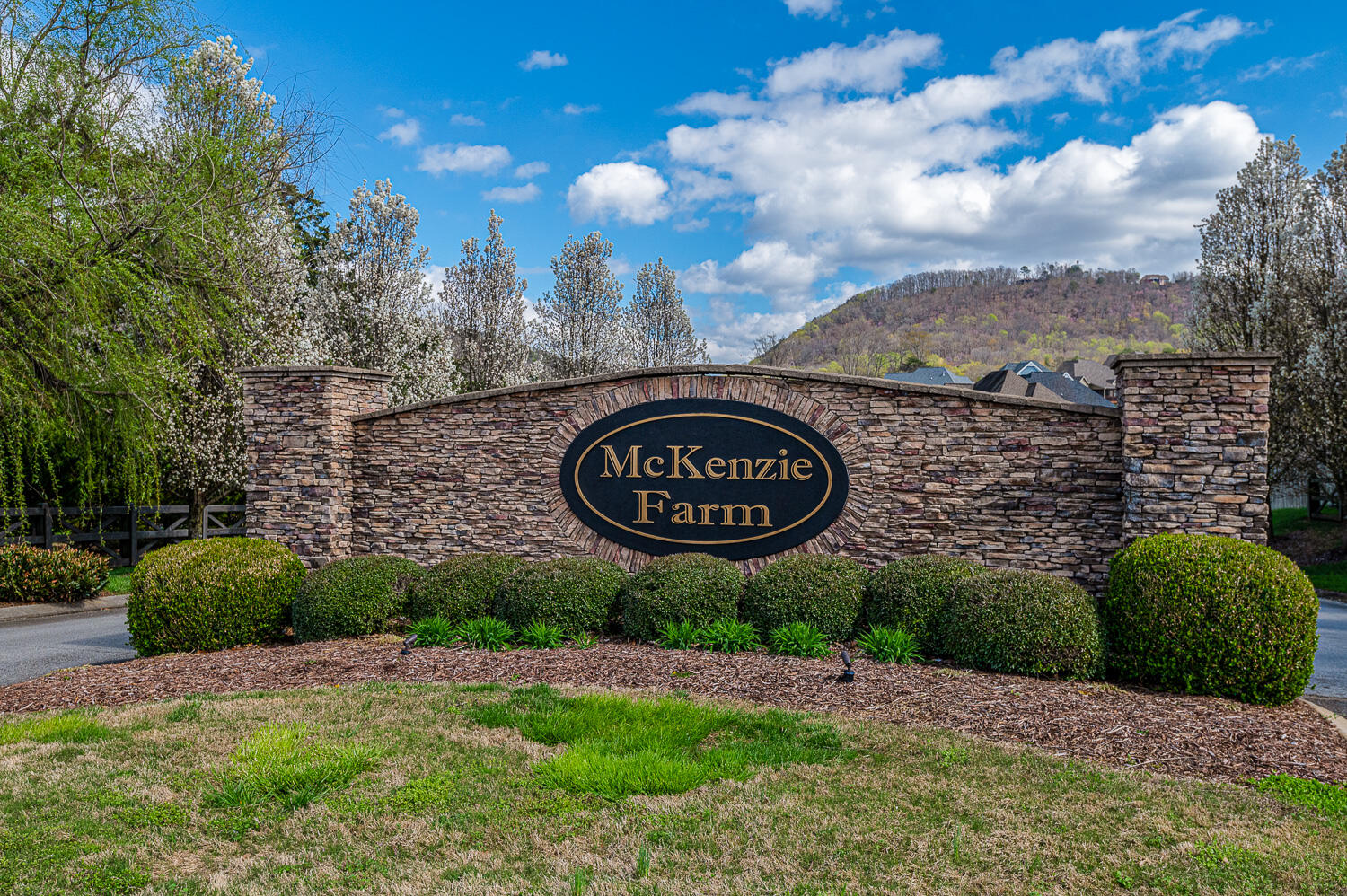 8746 Mckenzie Farm Drive