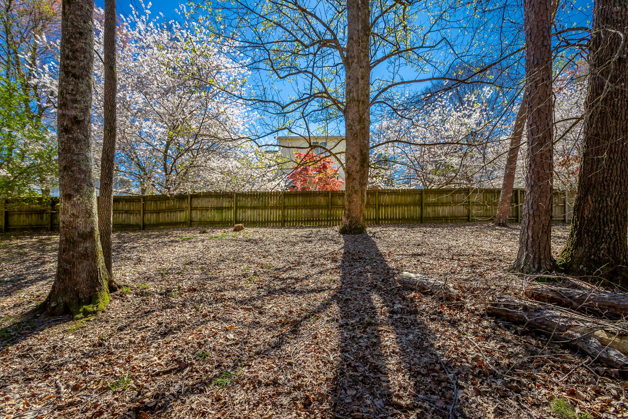 2925 S Gold Point Circle