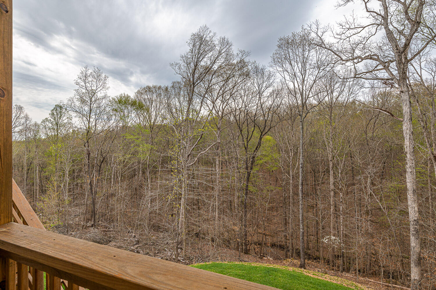 3761 Lacy Leaf Lane
