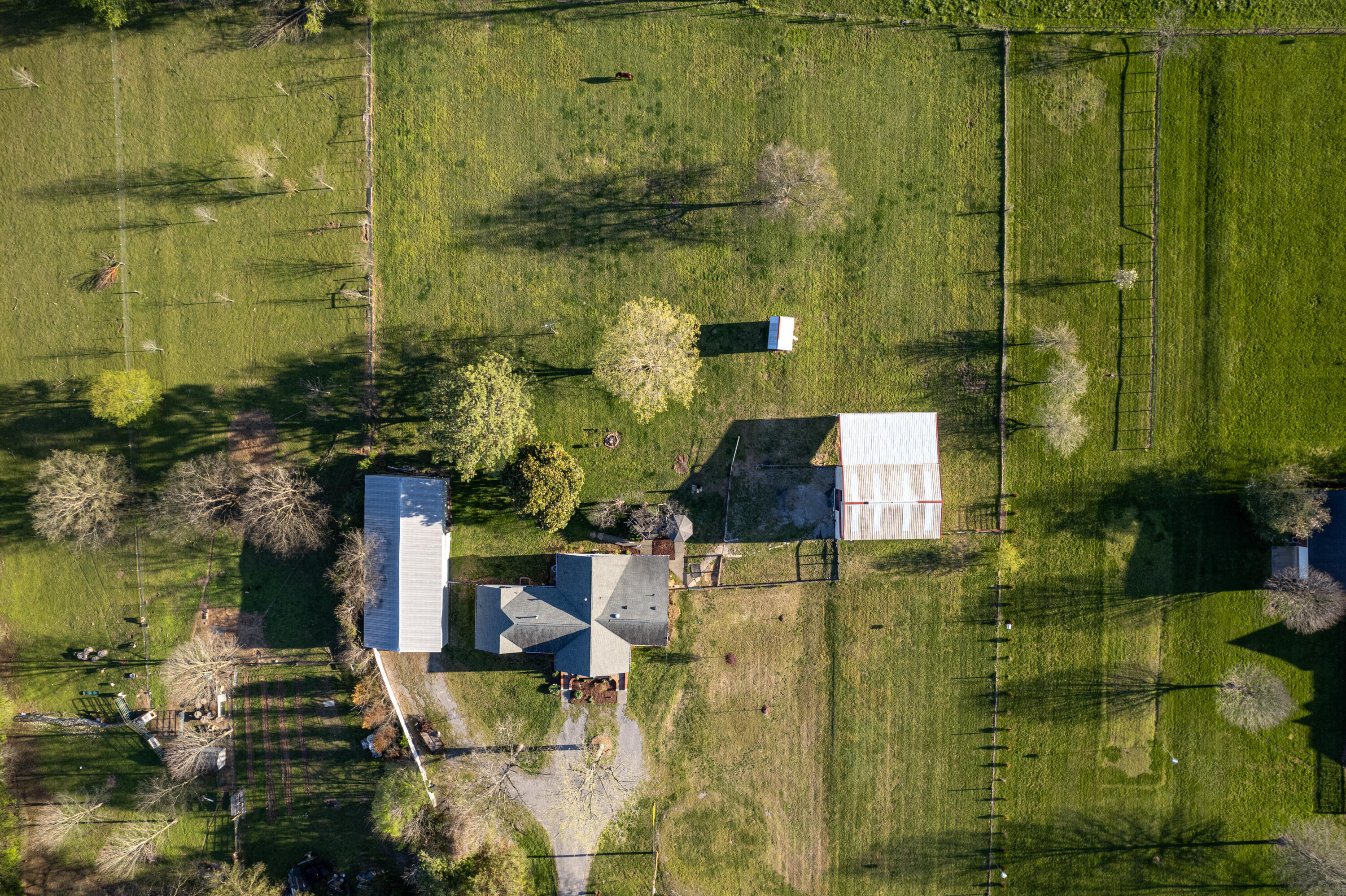 1443 Long Hollow Pike