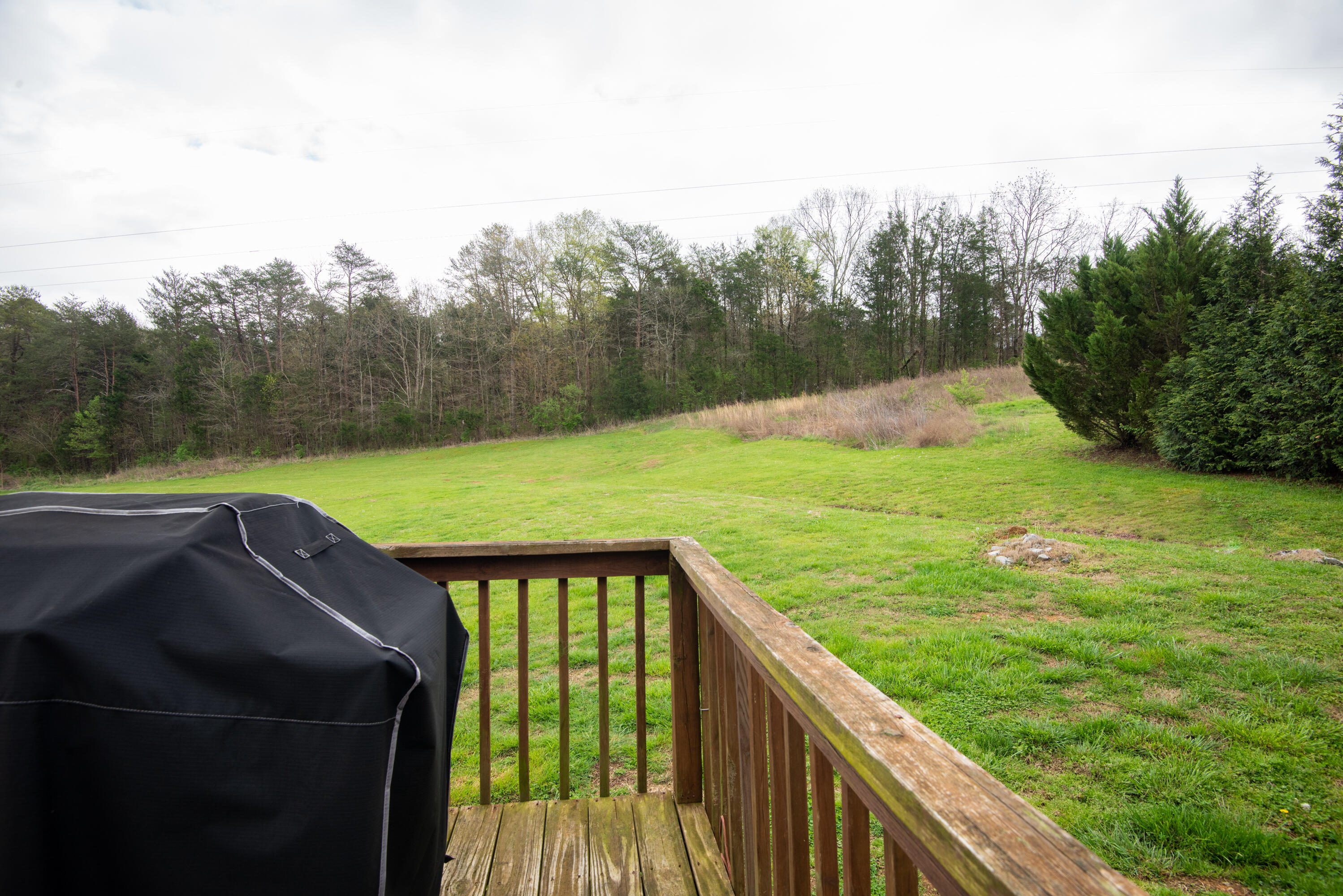 423 Bernice Drive