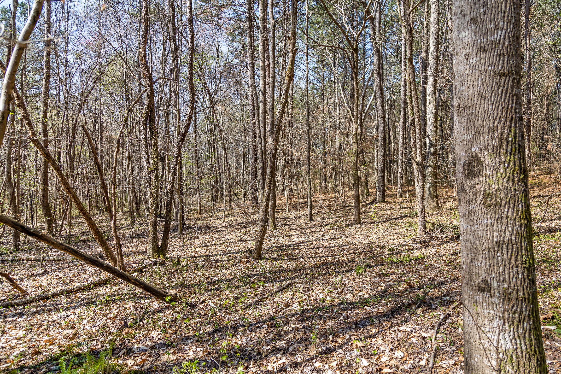 2 Salem Valley Road
