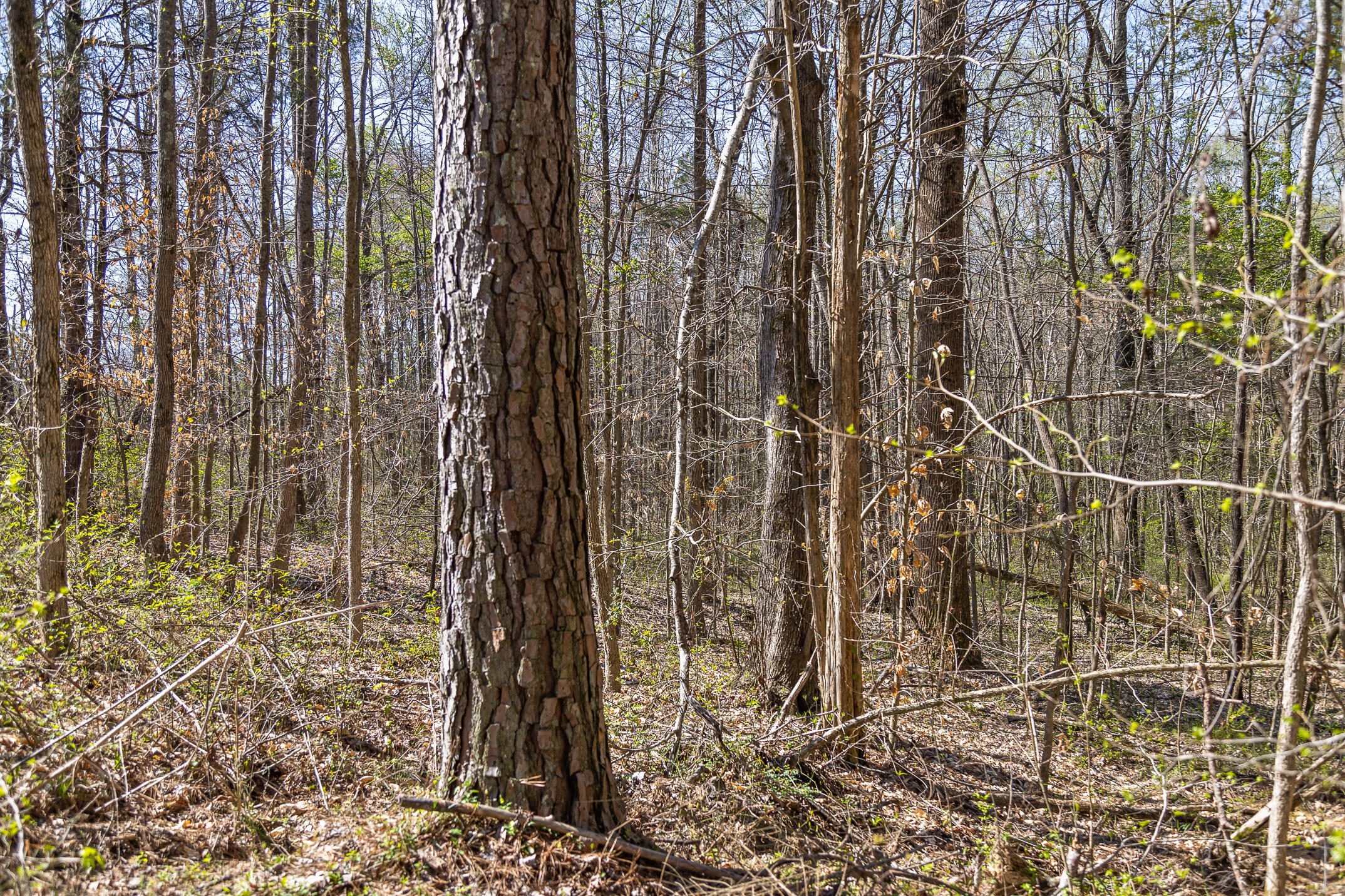 2 Salem Valley Road