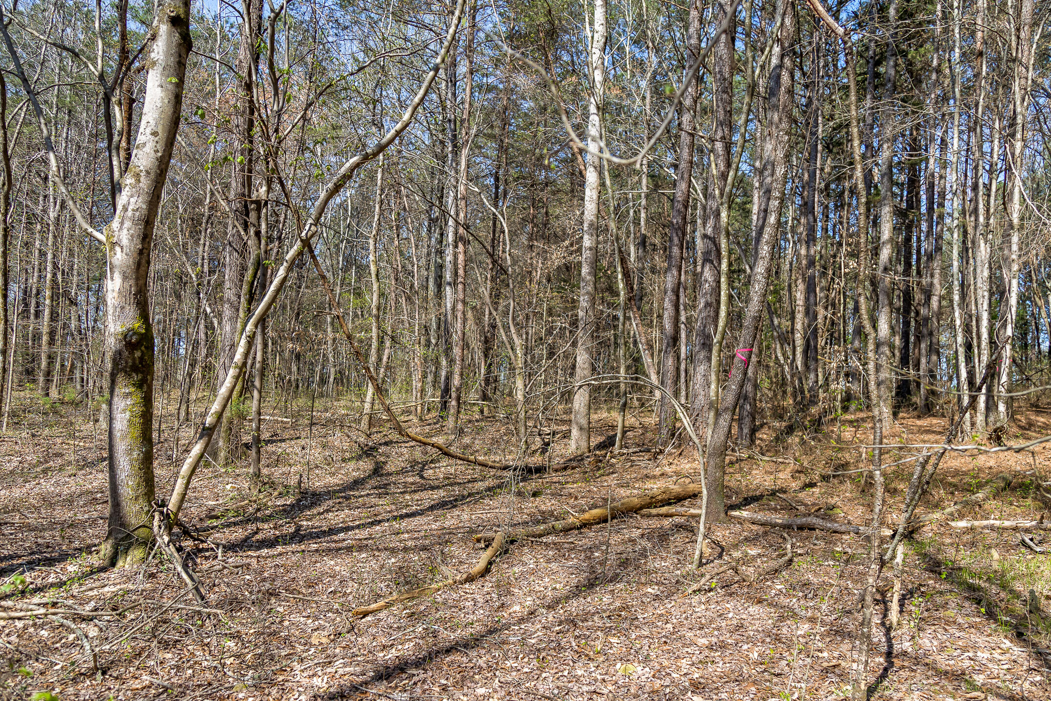 2 Salem Valley Road