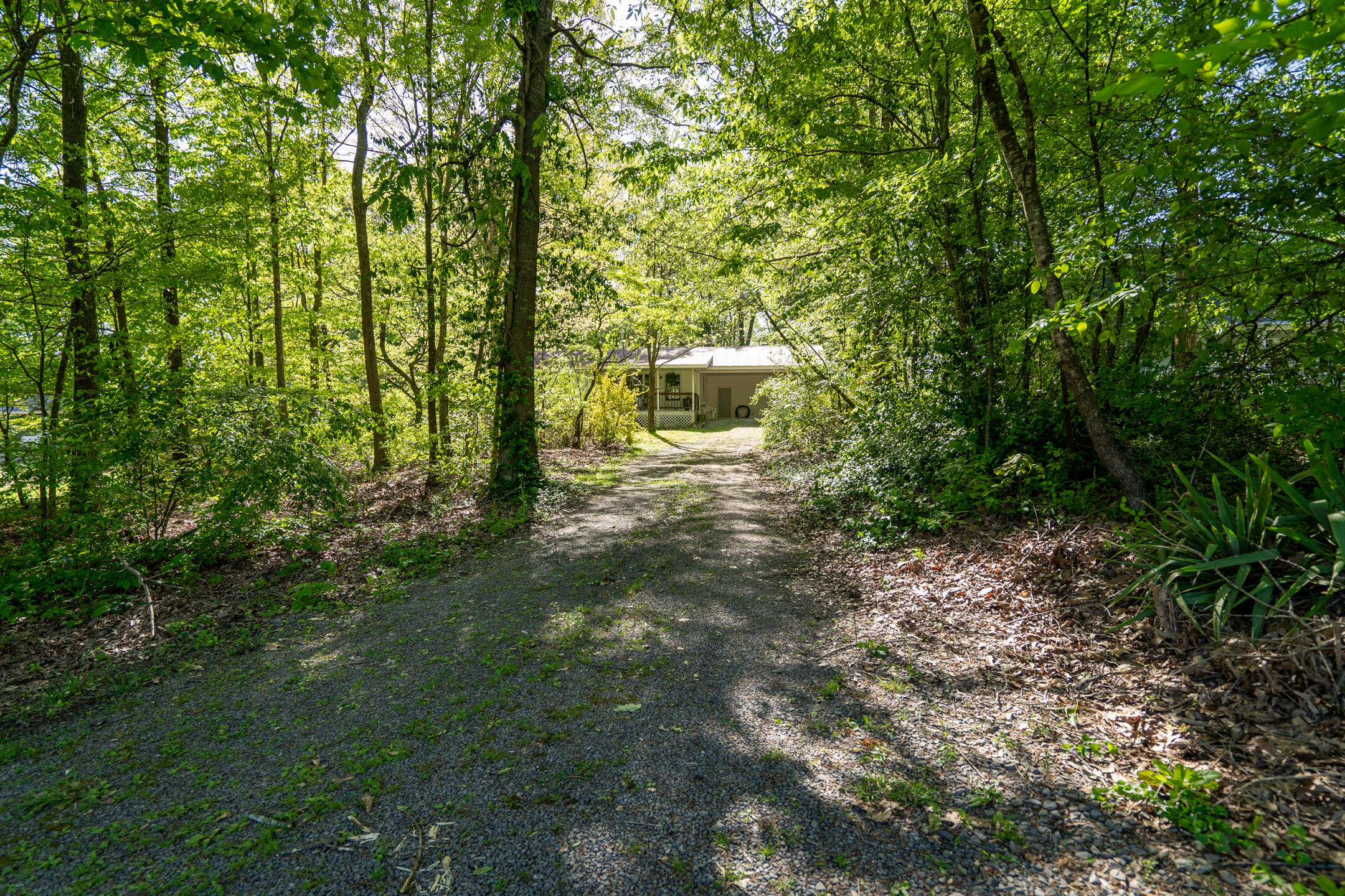 3113 NW Tea Roll Drive