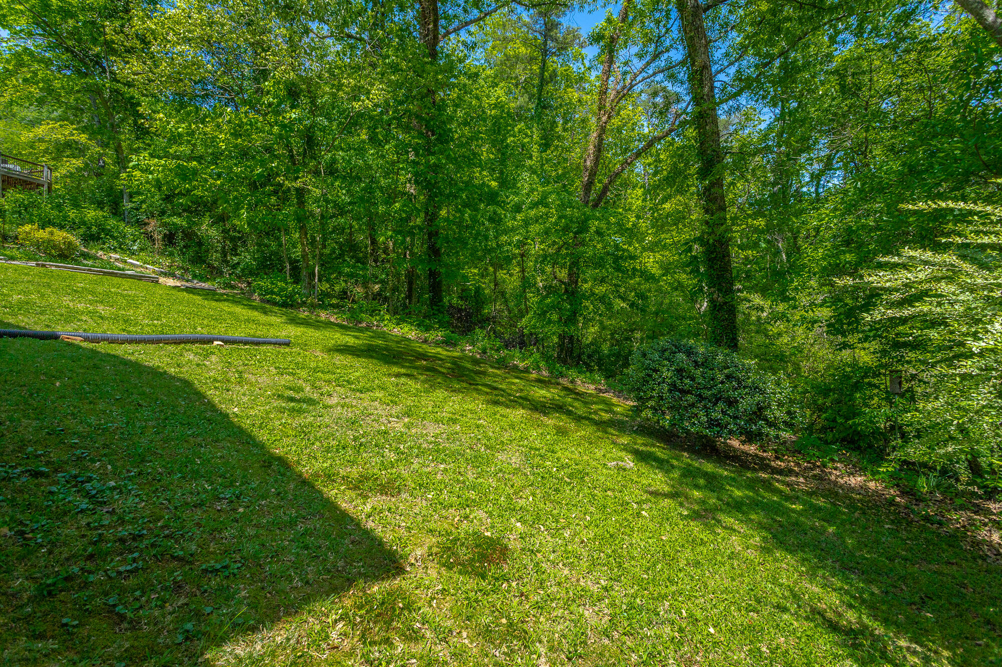 3407 Ten Oaks Drive