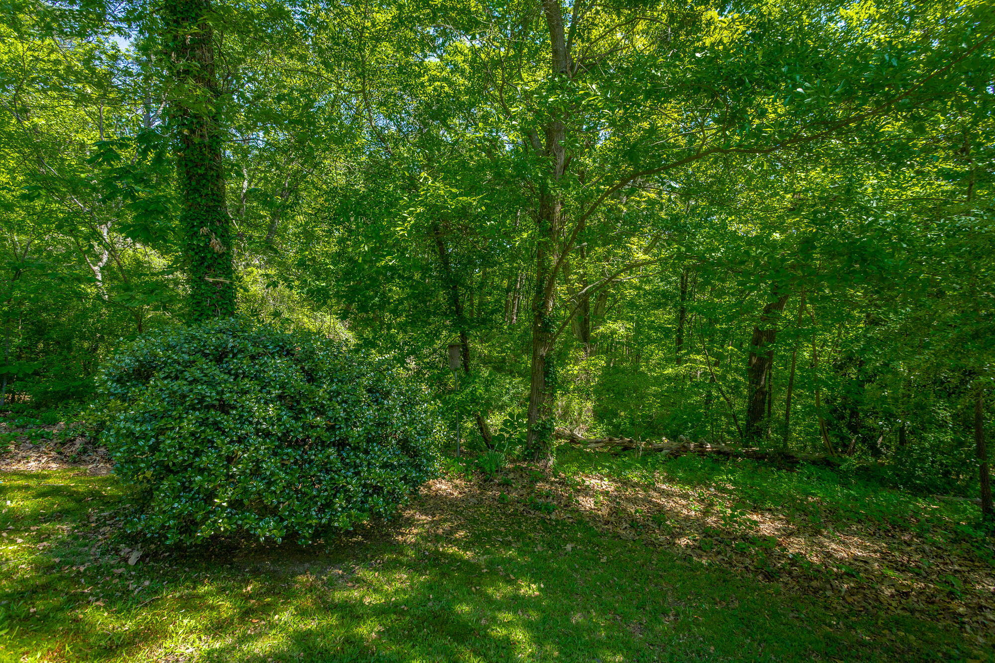 3407 Ten Oaks Drive