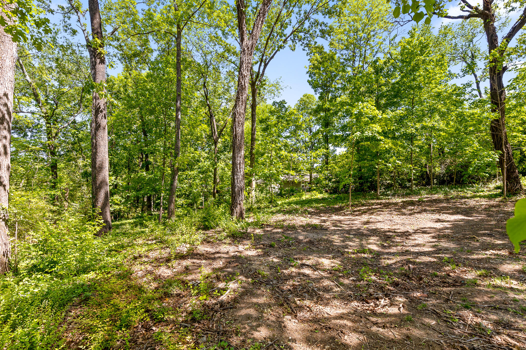 3208 Ozark Circle