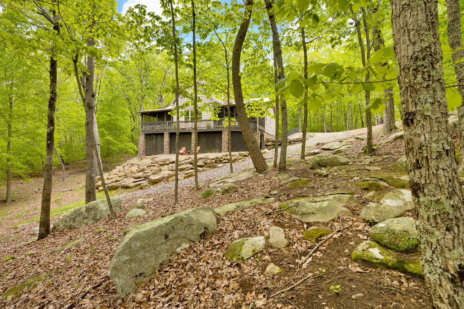 48 Everett Road