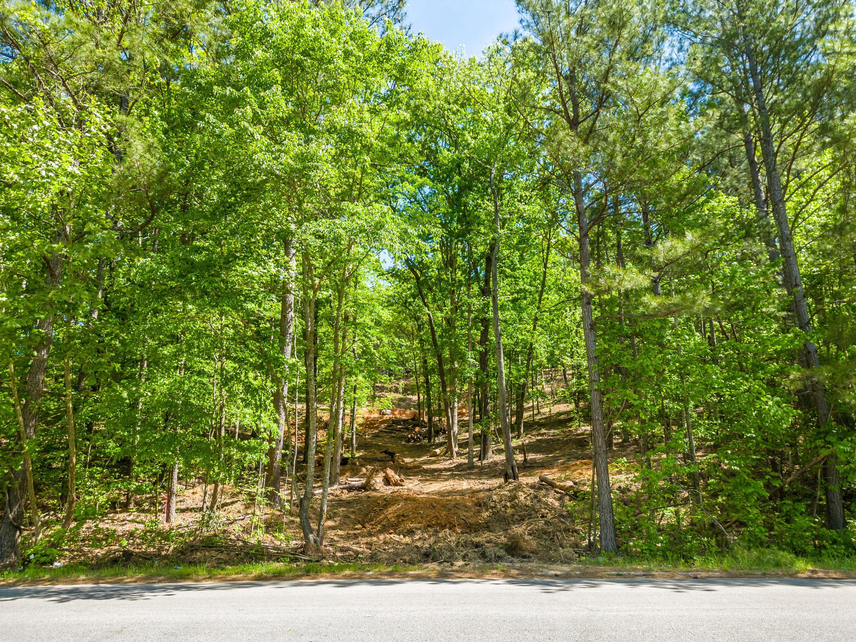 6157 Morning Glory Drive