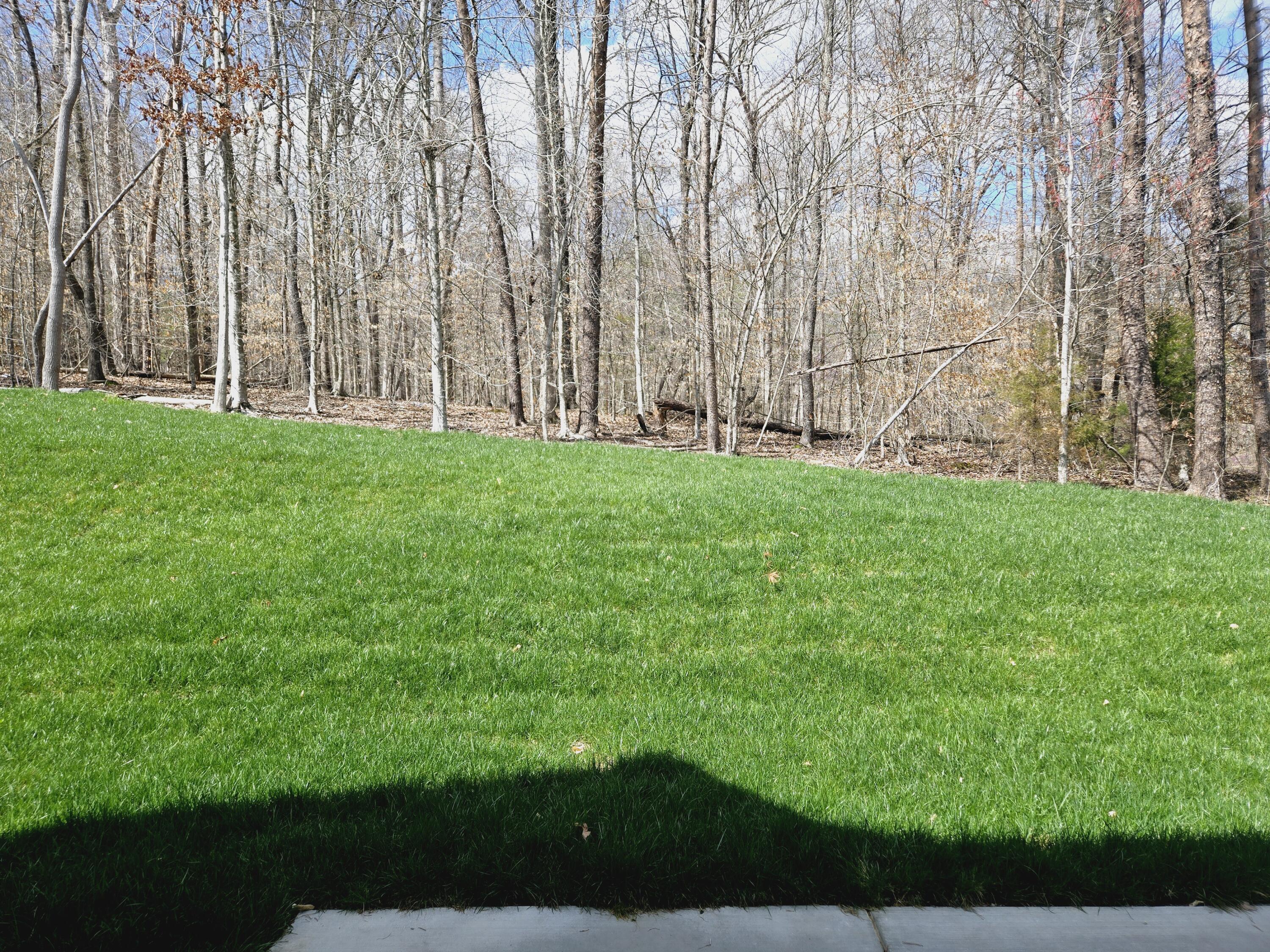 9344 Peppy Br Trail, 211
