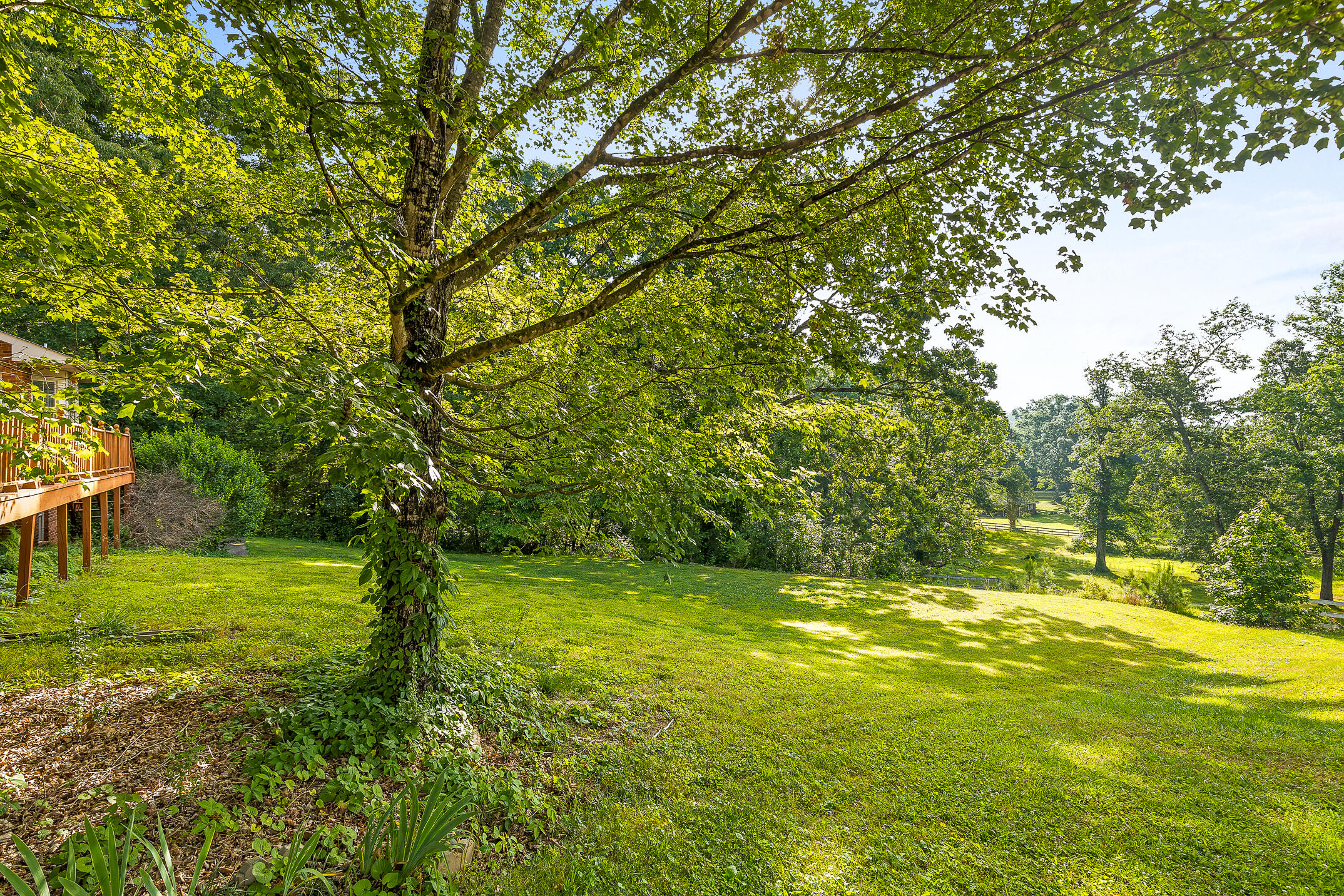 5424 Woody Trail