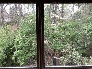 401 Mcfarland Road, Unit 2