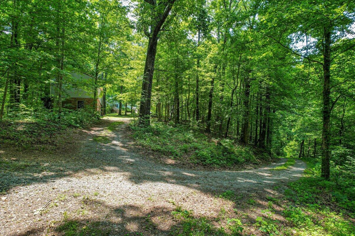 440 Puppis Lane