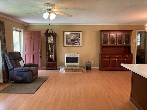9176 Daisy Dallas Road